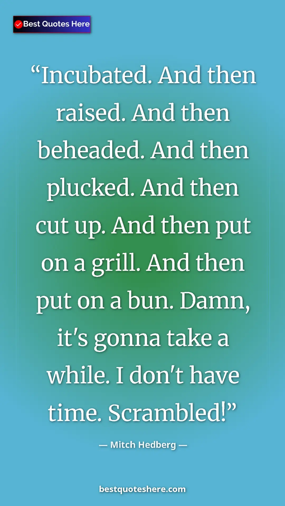 Pinterest quote poster by Mitch Hedberg: "Incubated. And then raised. And then beheaded. And then..."
