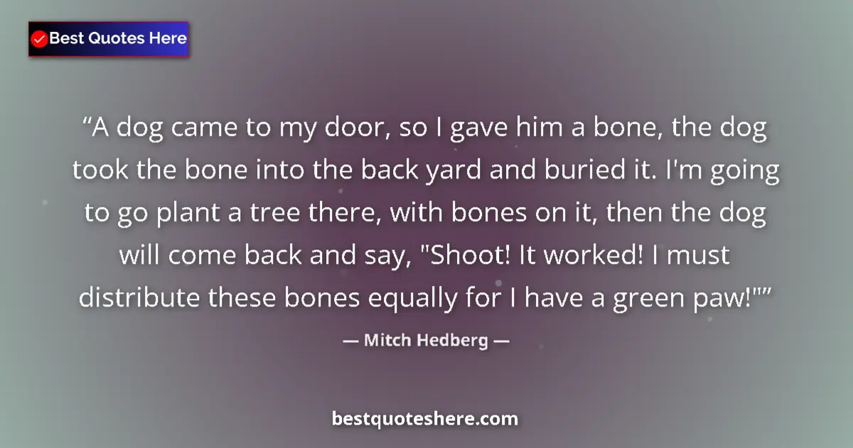 Quote by Mitch Hedberg: A dog came to my door, so I gave him a bone, the dog took the bone into the back yard and buried it....