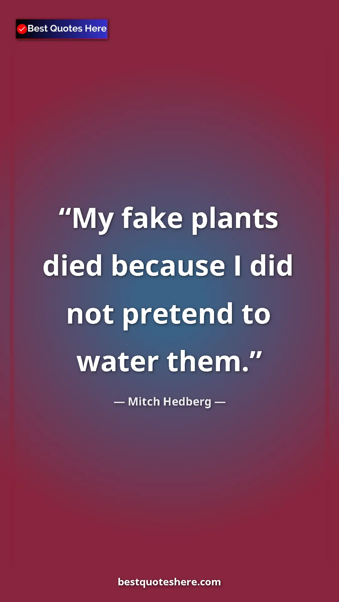 Pinterest quote poster by Mitch Hedberg: "My fake plants died because I did not pretend to water them."