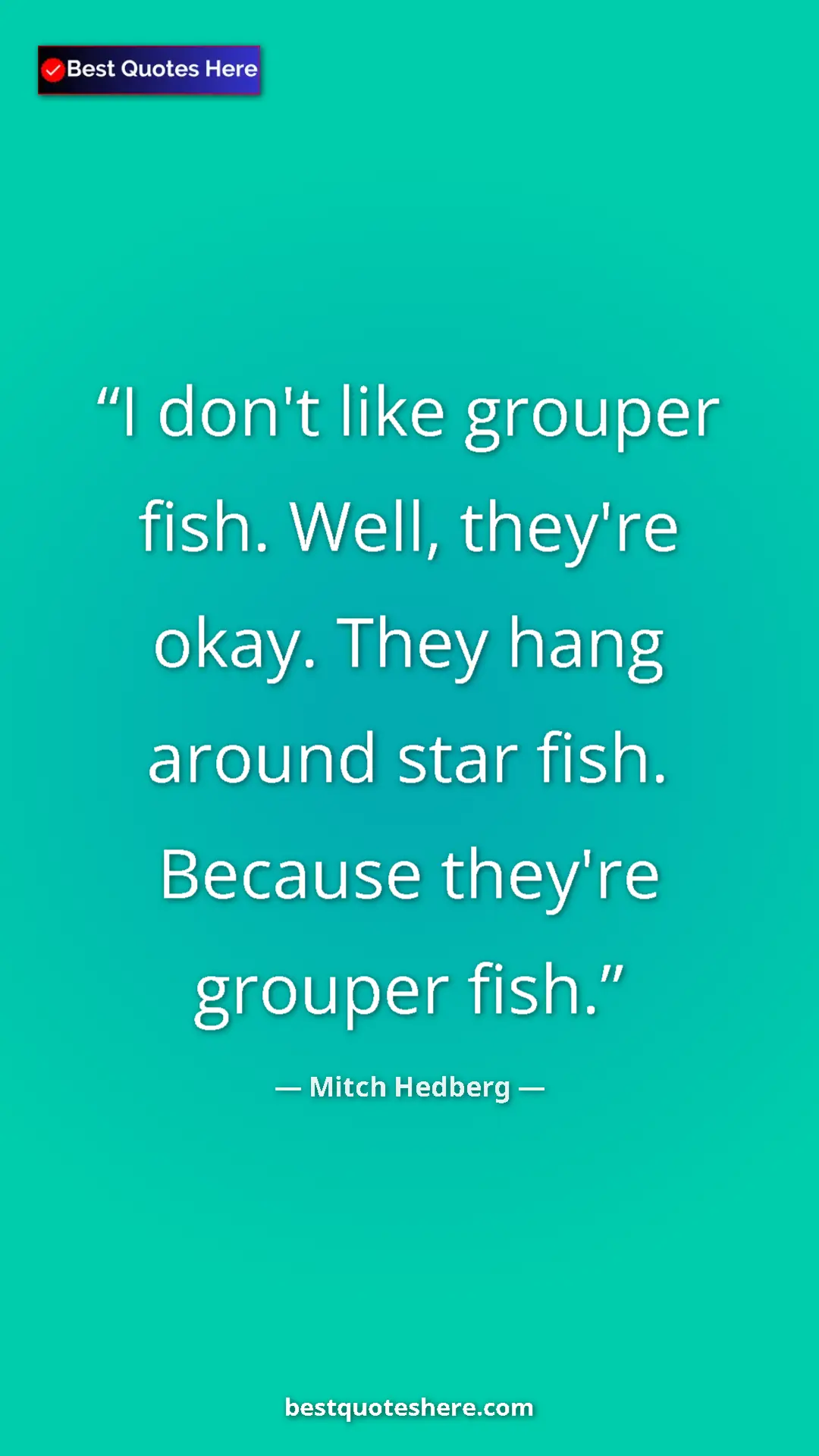 Pinterest quote poster by Mitch Hedberg: "I don't like grouper fish. Well, they're okay. They hang..."