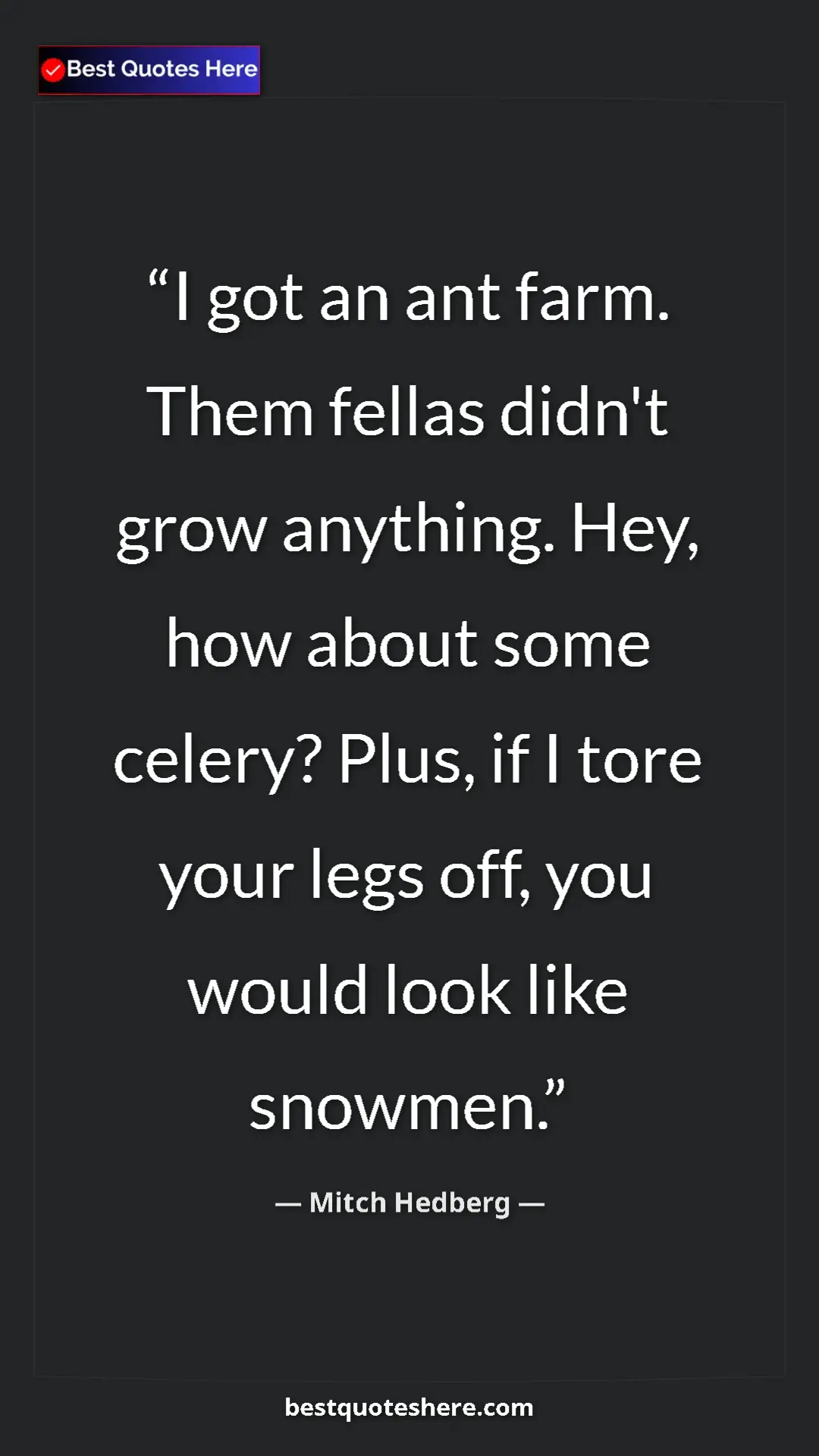 Pinterest quote poster by Mitch Hedberg: "I got an ant farm. Them fellas didn't grow anything. Hey,..."