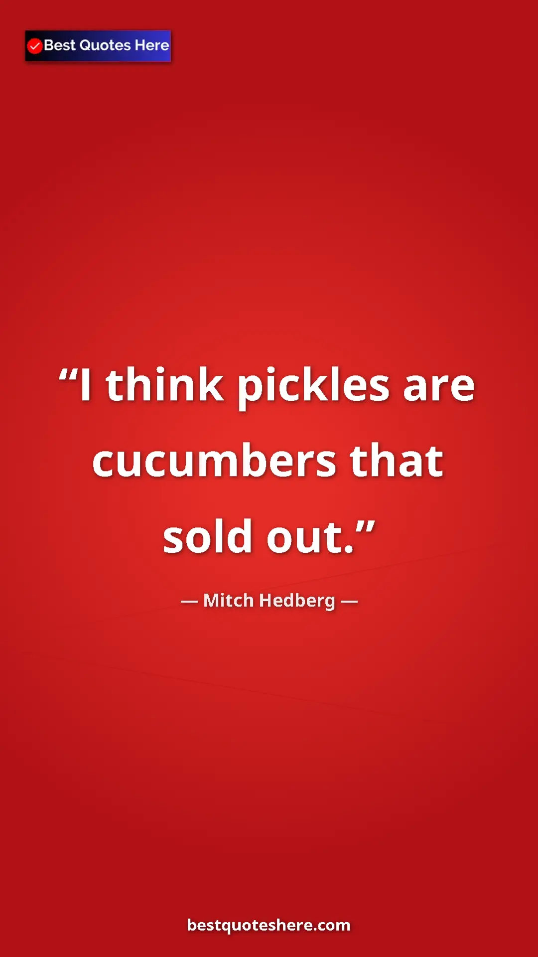 Pinterest quote poster by Mitch Hedberg: "I think pickles are cucumbers that sold out."