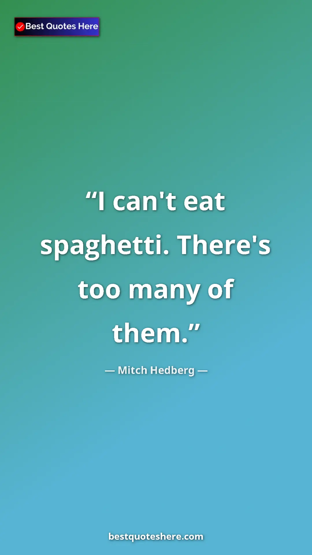 Pinterest quote poster by Mitch Hedberg: "I can't eat spaghetti. There's too many of them."