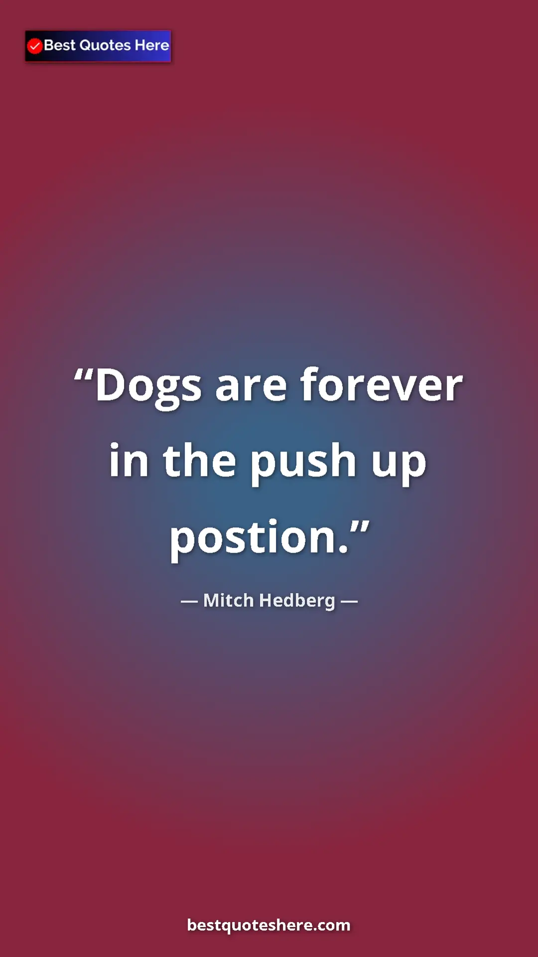 Pinterest quote poster by Mitch Hedberg: "Dogs are forever in the push up postion."