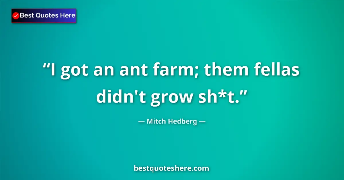 Quote by Mitch Hedberg: I got an ant farm; them fellas didn't grow sh*t....