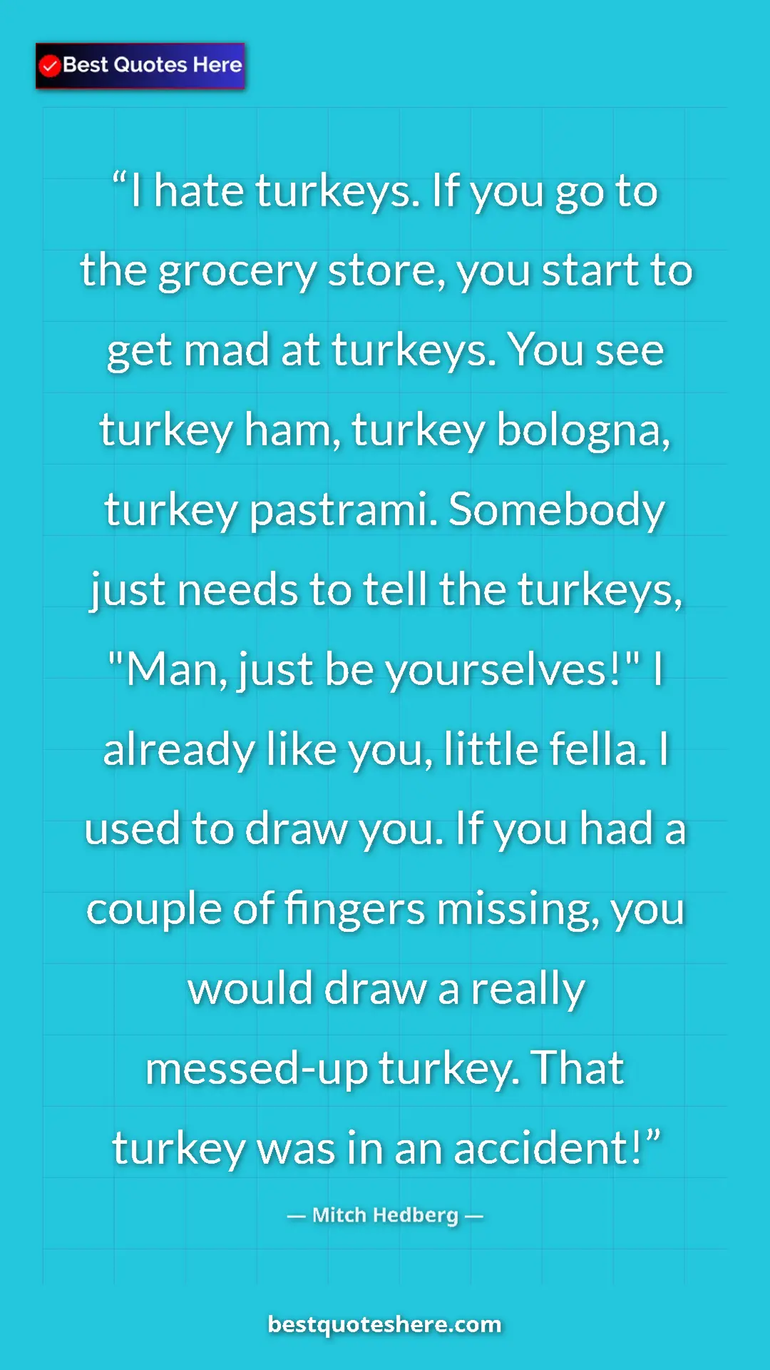 Pinterest quote poster by Mitch Hedberg: "I hate turkeys. If you go to the grocery store, you start..."
