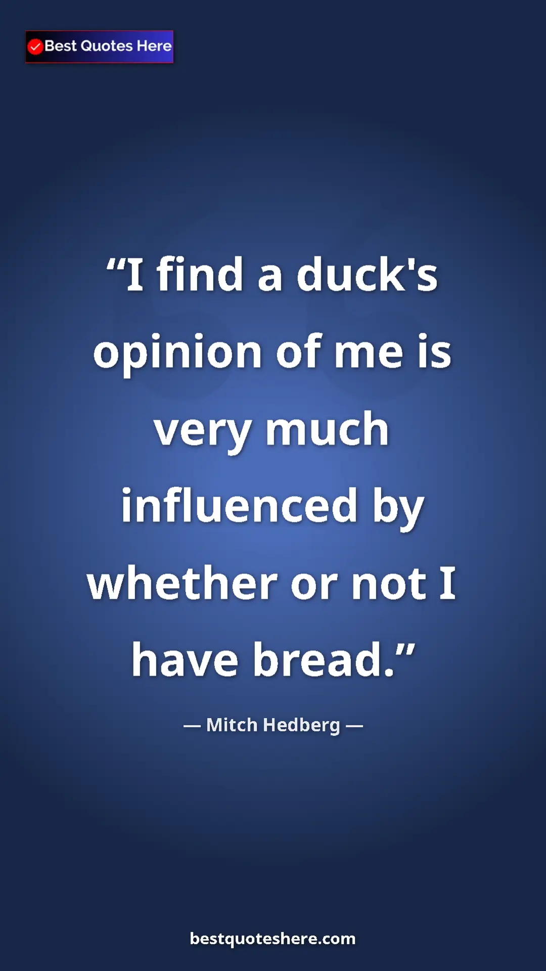 Pinterest quote poster by Mitch Hedberg: "I find a duck's opinion of me is very much influenced by..."