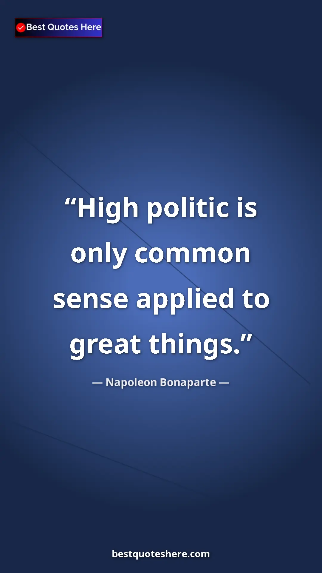 Pinterest quote poster by Napoleon Bonaparte: "High politic is only common sense applied to great things."