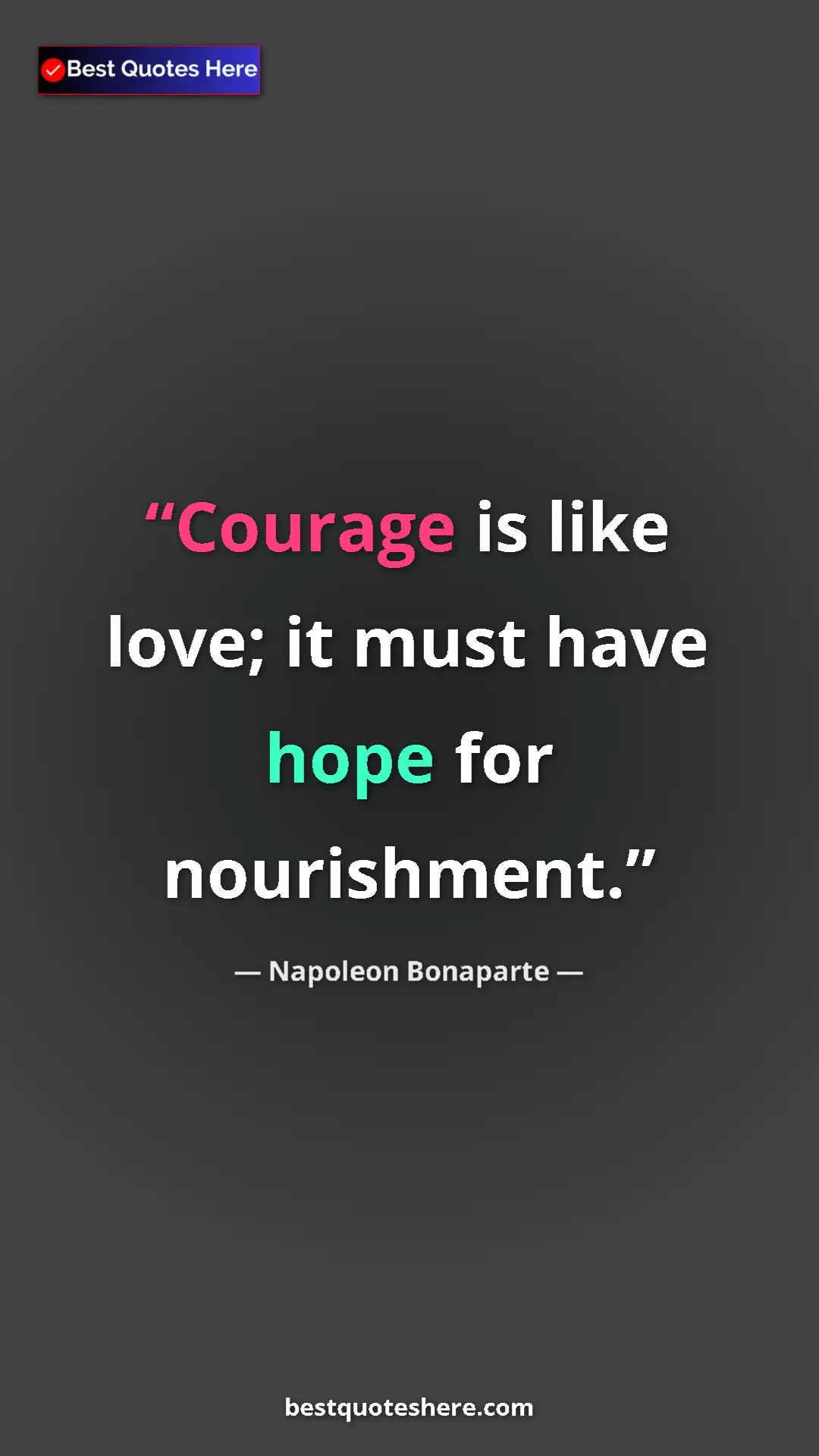 Pinterest quote poster by Napoleon Bonaparte: "Courage is like love; it must have hope for nourishment."