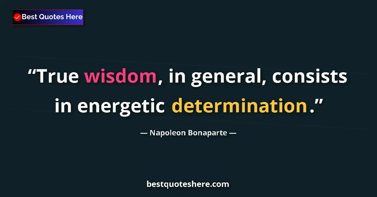 Napoleon Bonaparte quote: "True wisdom, in general, consists in energetic..."