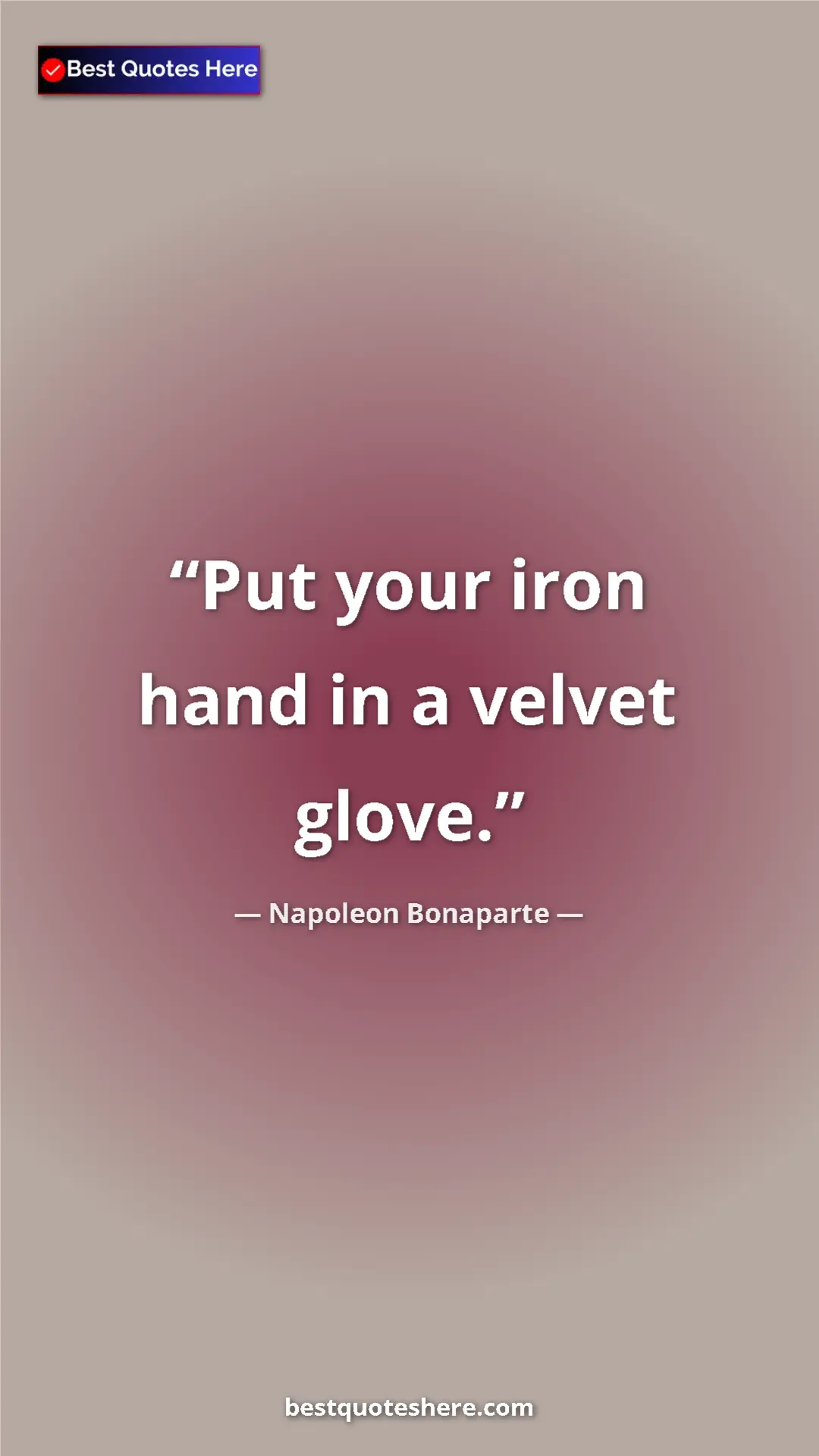 Pinterest quote poster by Napoleon Bonaparte: "Put your iron hand in a velvet glove."