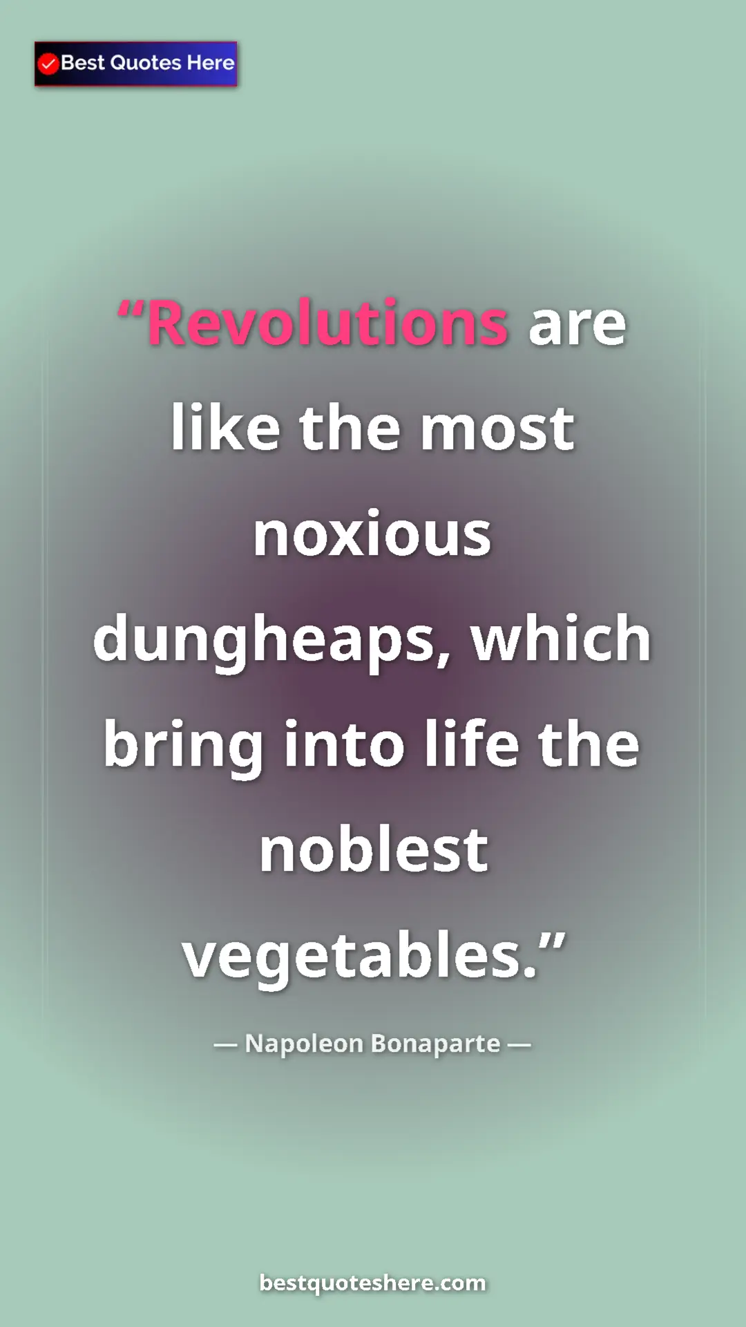 Pinterest quote poster by Napoleon Bonaparte: "Revolutions are like the most noxious dungheaps, which..."