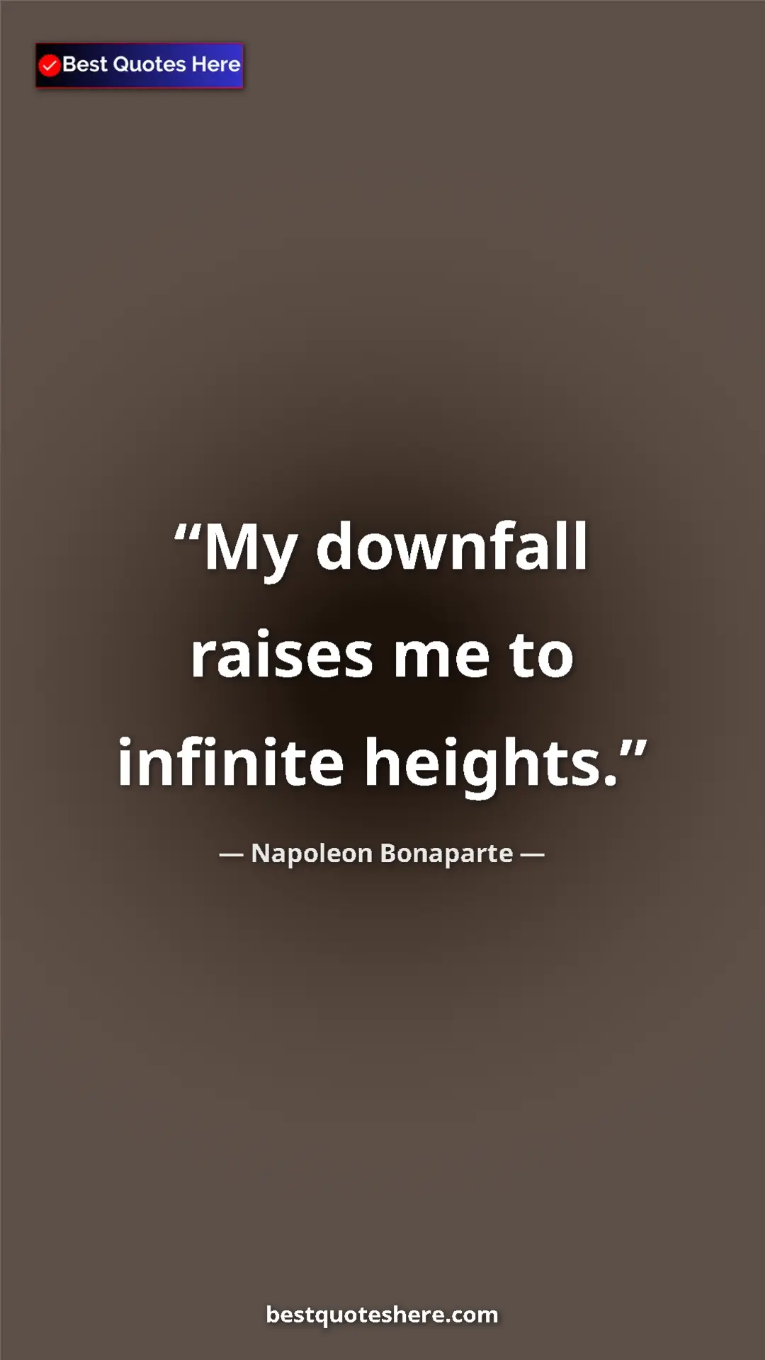 Pinterest quote poster by Napoleon Bonaparte: "My downfall raises me to infinite heights."