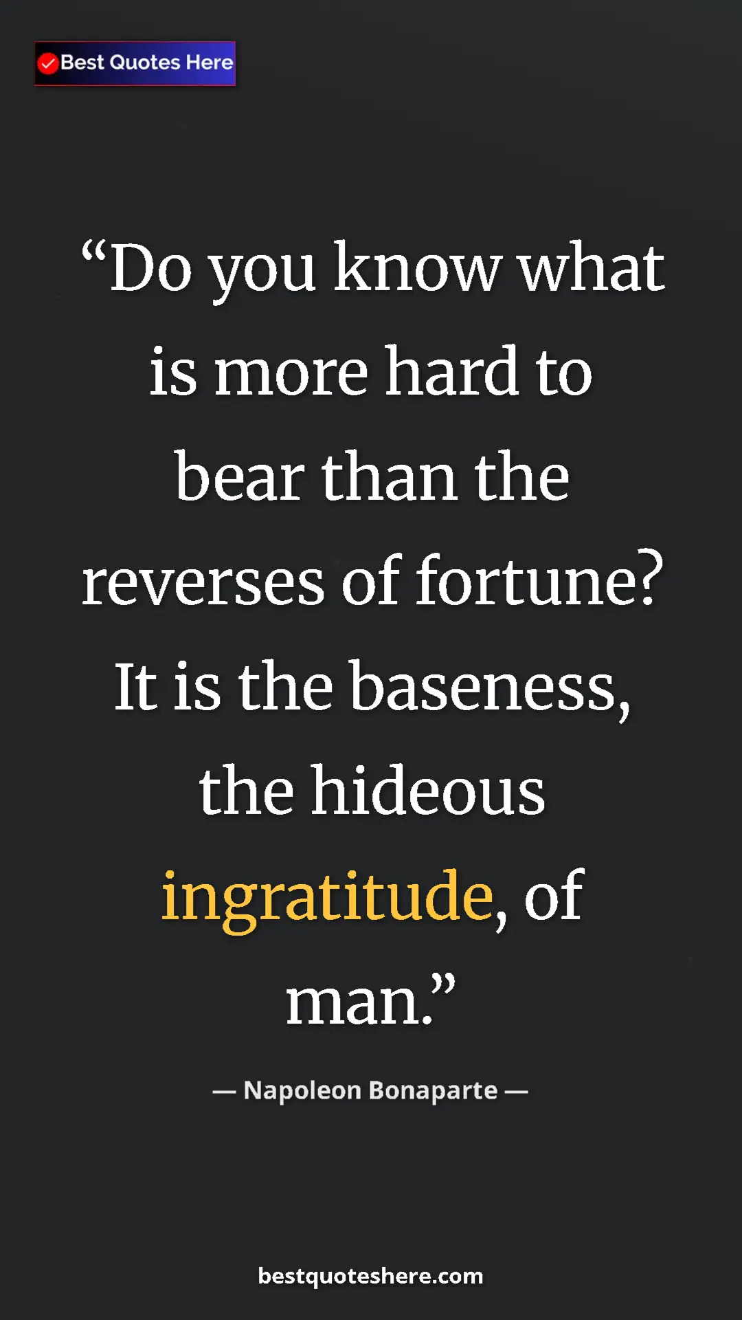 Pinterest quote poster by Napoleon Bonaparte: "Do you know what is more hard to bear than the reverses of..."