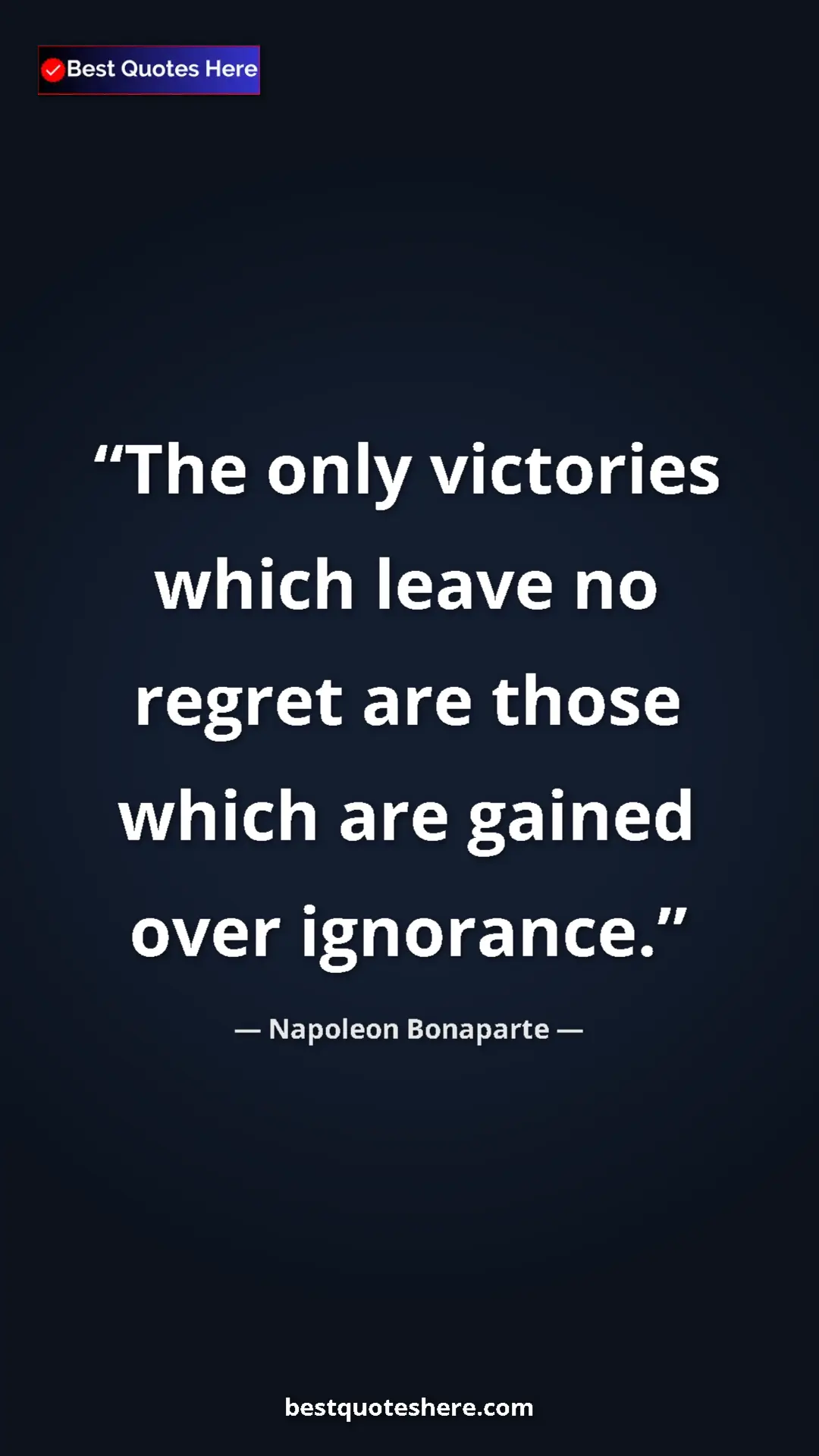 Pinterest quote poster by Napoleon Bonaparte: "The only victories which leave no regret are those which..."
