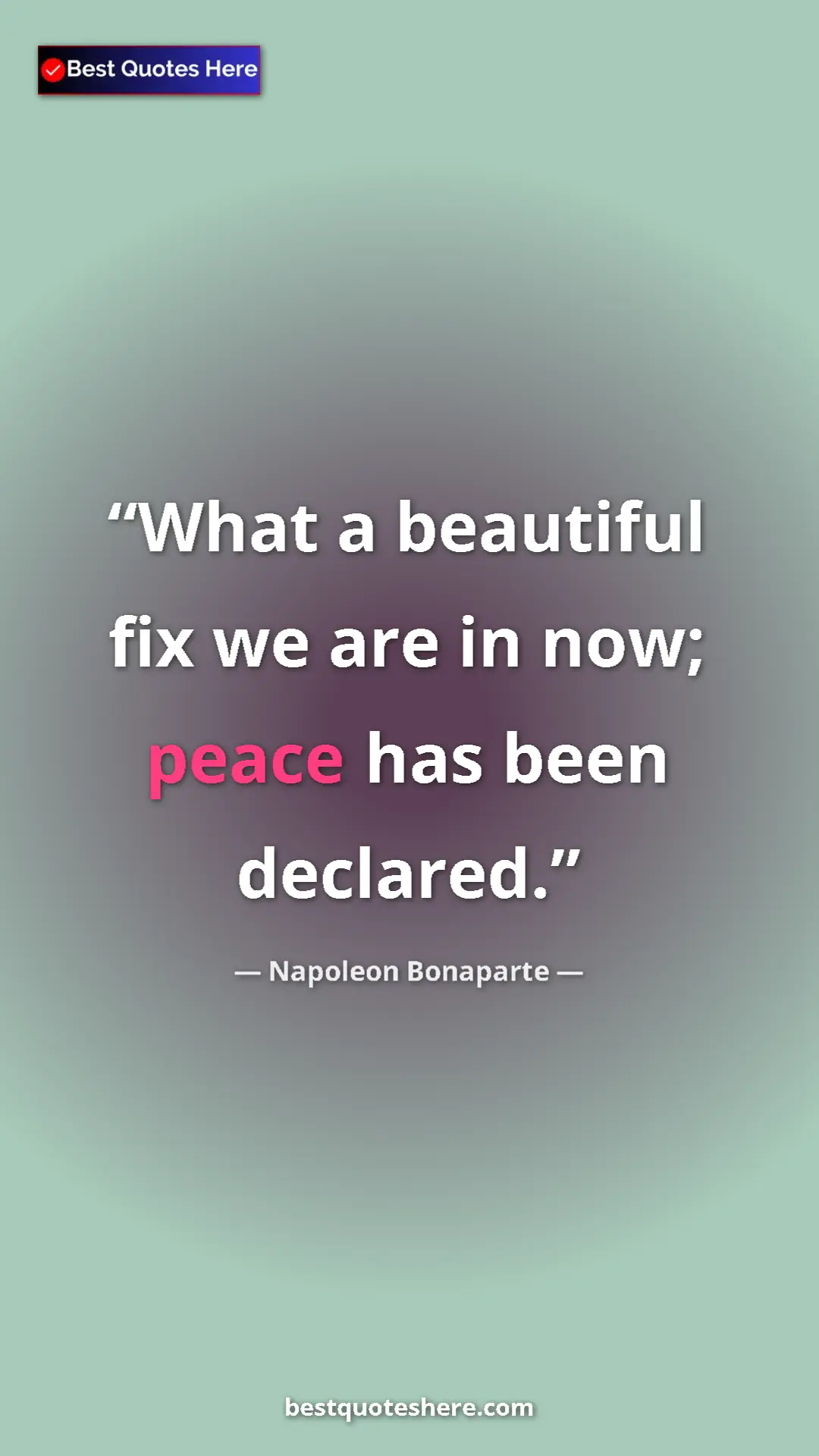 Pinterest quote poster by Napoleon Bonaparte: "What a beautiful fix we are in now; peace has been declared."