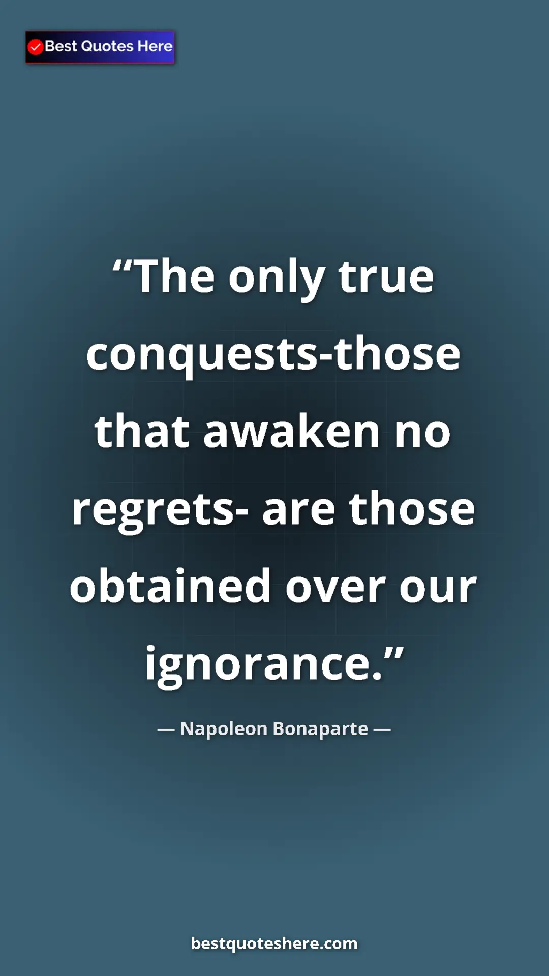 Pinterest quote poster by Napoleon Bonaparte: "The only true conquests-those that awaken no regrets- are..."