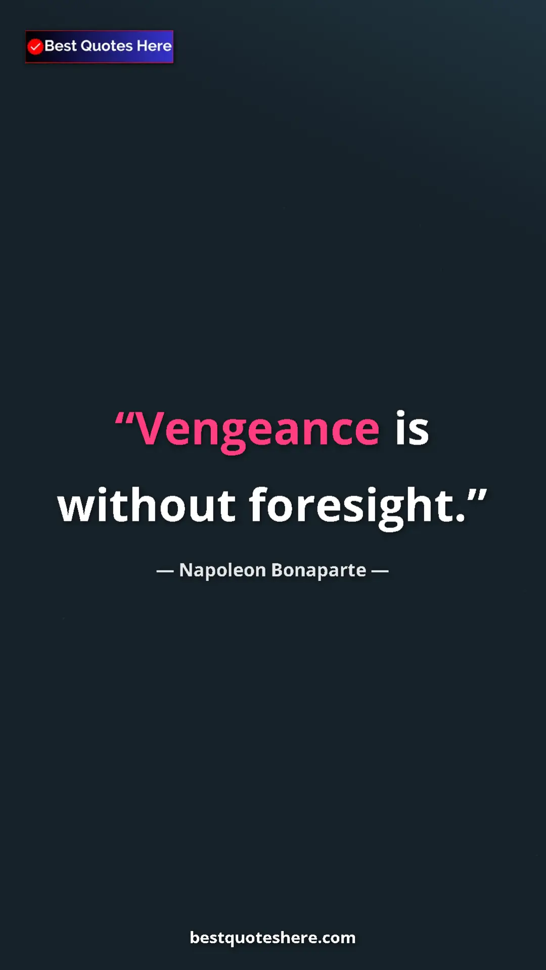 Pinterest quote poster by Napoleon Bonaparte: "Vengeance is without foresight."