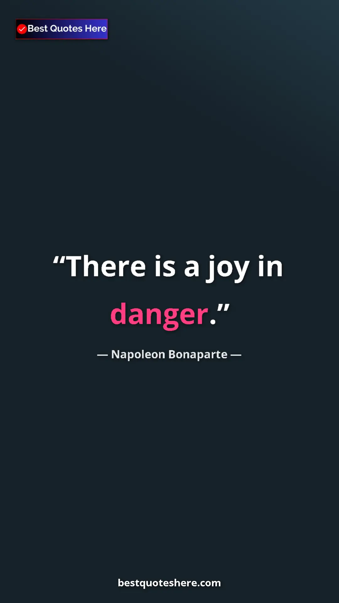 Pinterest quote poster by Napoleon Bonaparte: "There is a joy in danger."