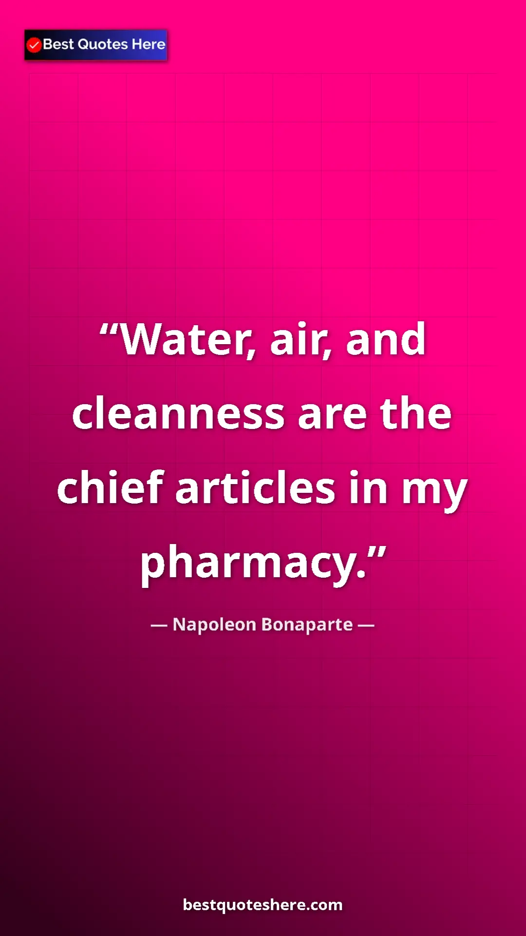 Pinterest quote poster by Napoleon Bonaparte: "Water, air, and cleanness are the chief articles in my..."