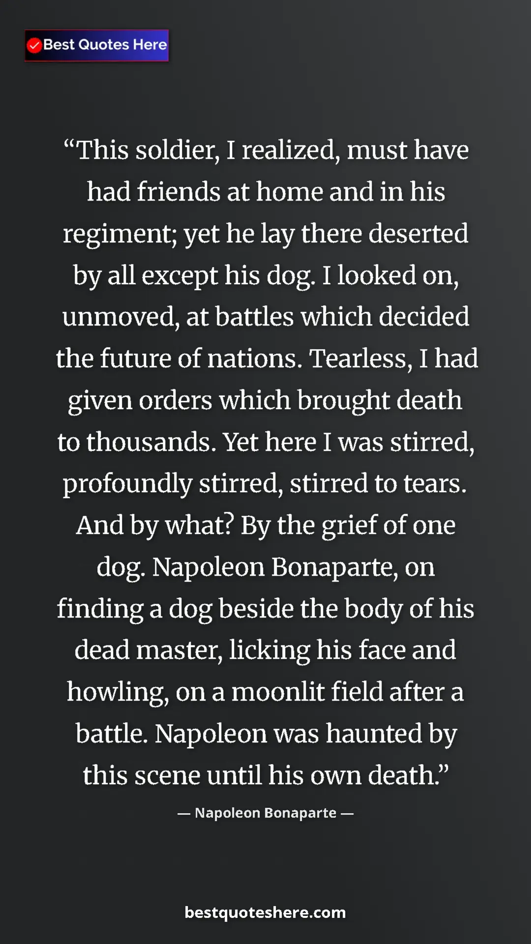 Pinterest quote poster by Napoleon Bonaparte: "This soldier, I realized, must have had friends at home and..."