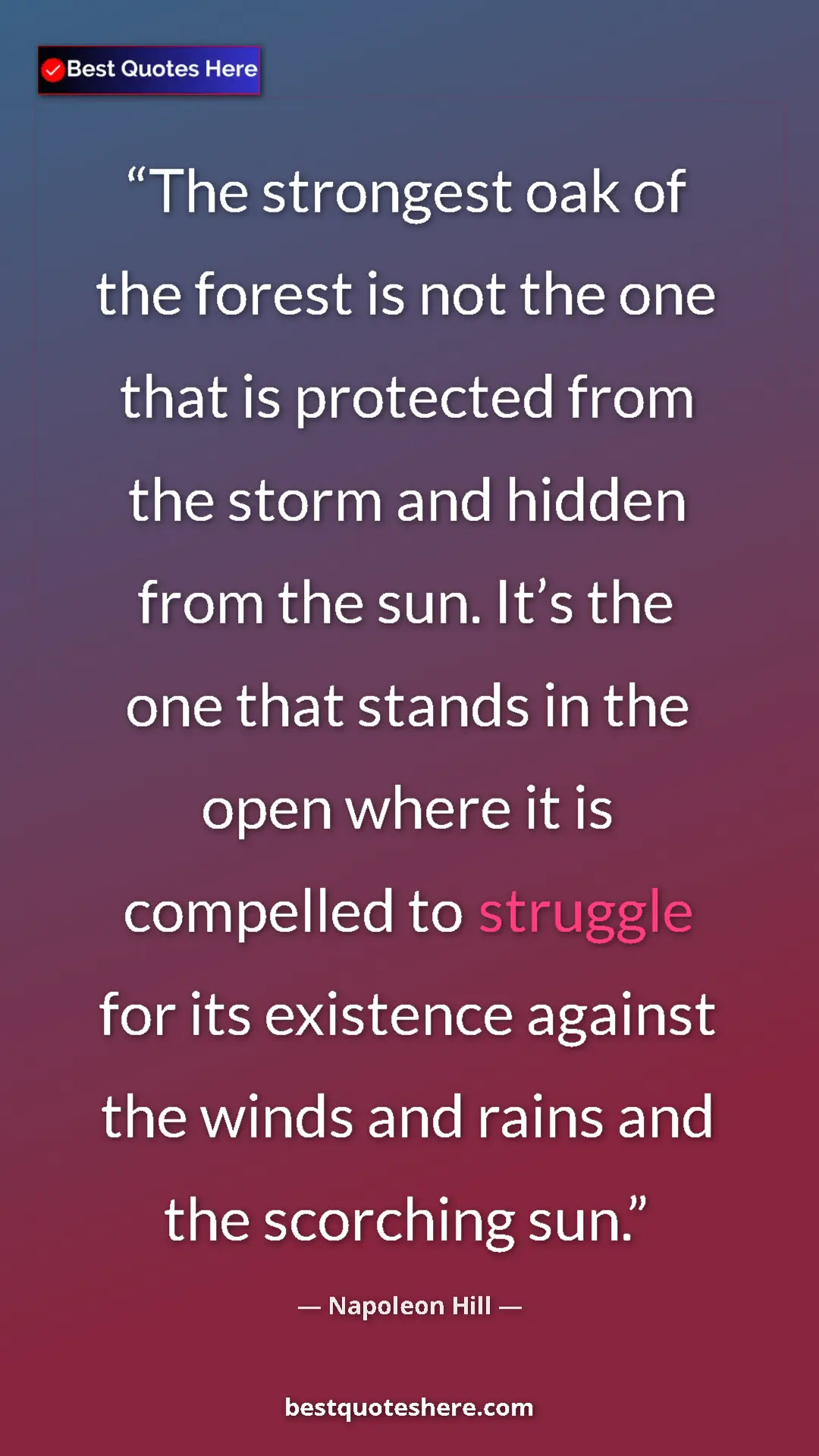 Napoleon Hill Quote Card: "The strongest oak of the forest is not the one that is..." Pinterest quote poster by Napoleon Hill: "The strongest oak of the forest is not the one that is..."