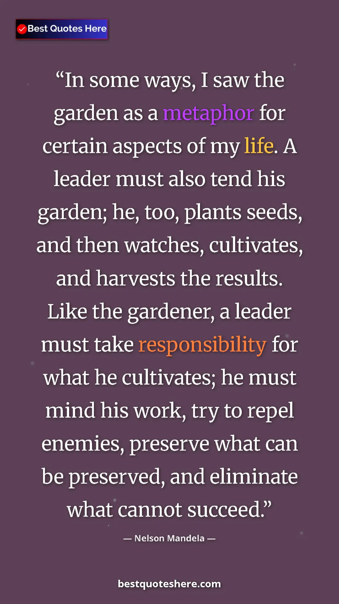 Pinterest quote poster by Nelson Mandela: "In some ways, I saw the garden as a metaphor for certain..."