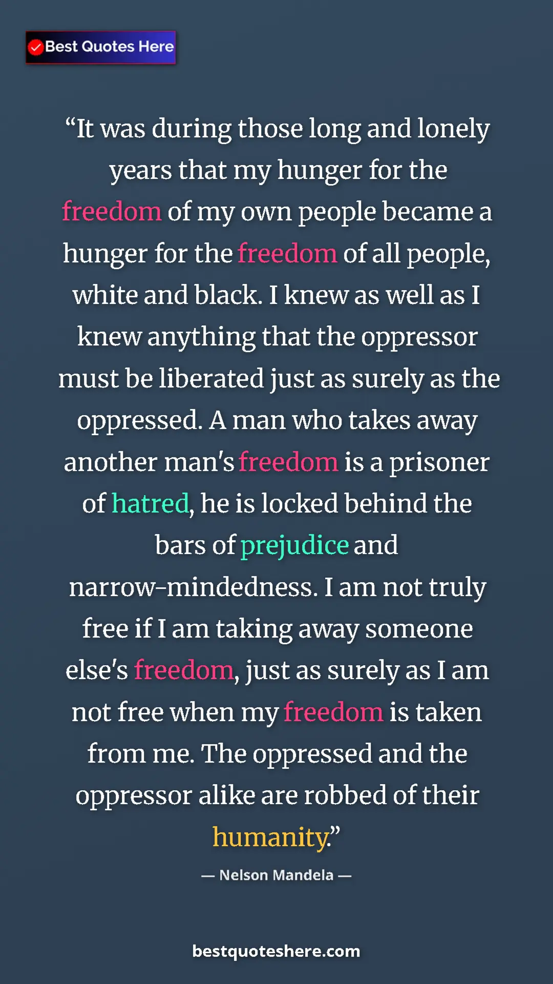 Pinterest quote poster by Nelson Mandela: "It was during those long and lonely years that my hunger..."