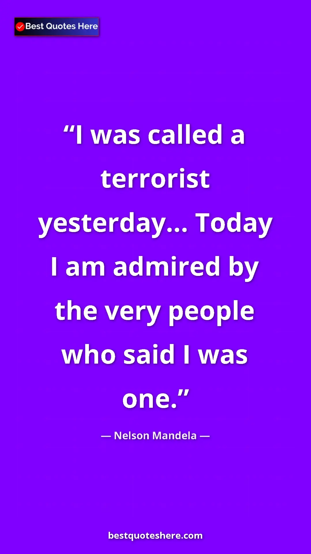 Pinterest quote poster by Nelson Mandela: "I was called a terrorist yesterday... Today I am admired by..."