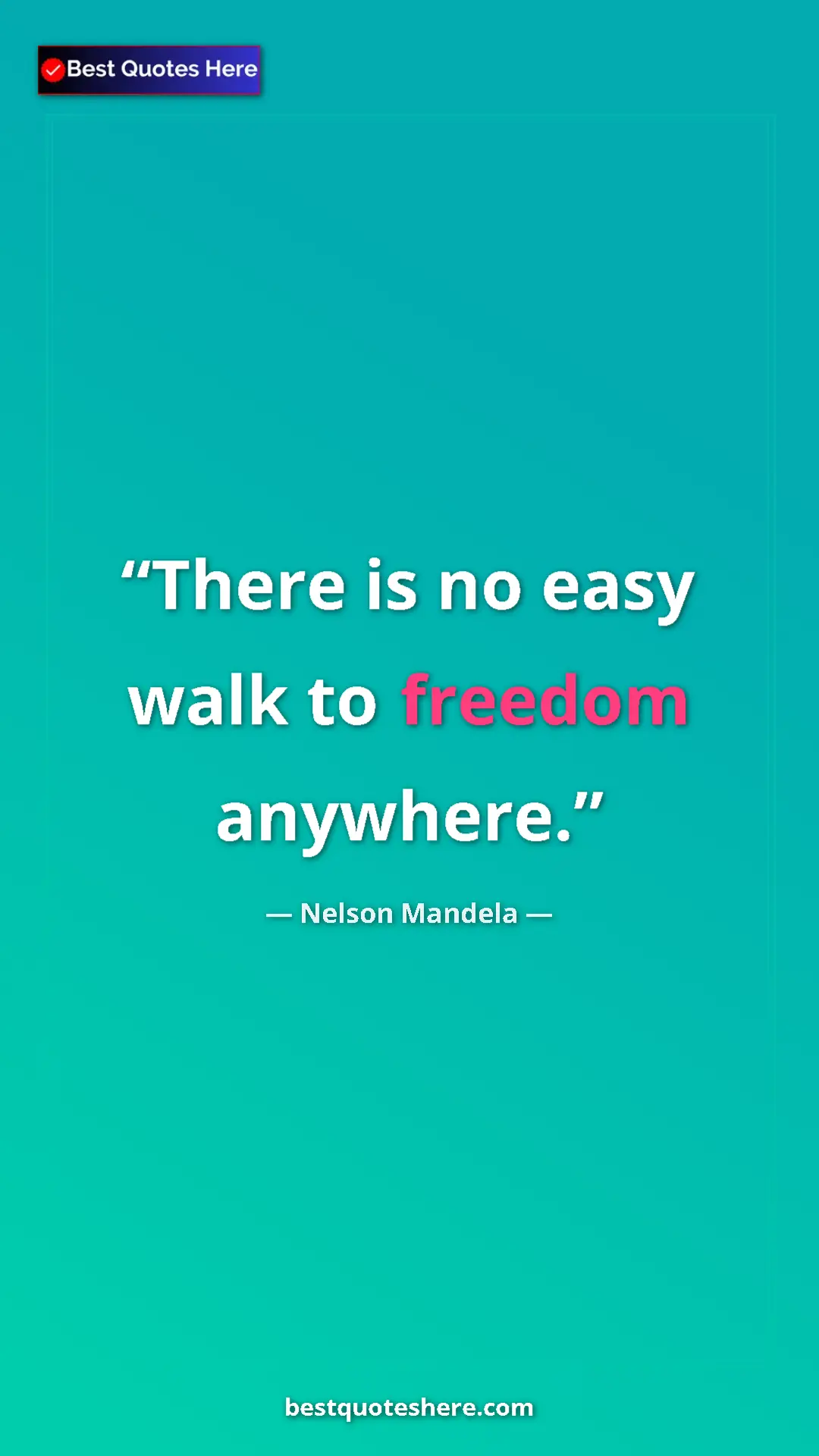 Pinterest quote poster by Nelson Mandela: "There is no easy walk to freedom anywhere."