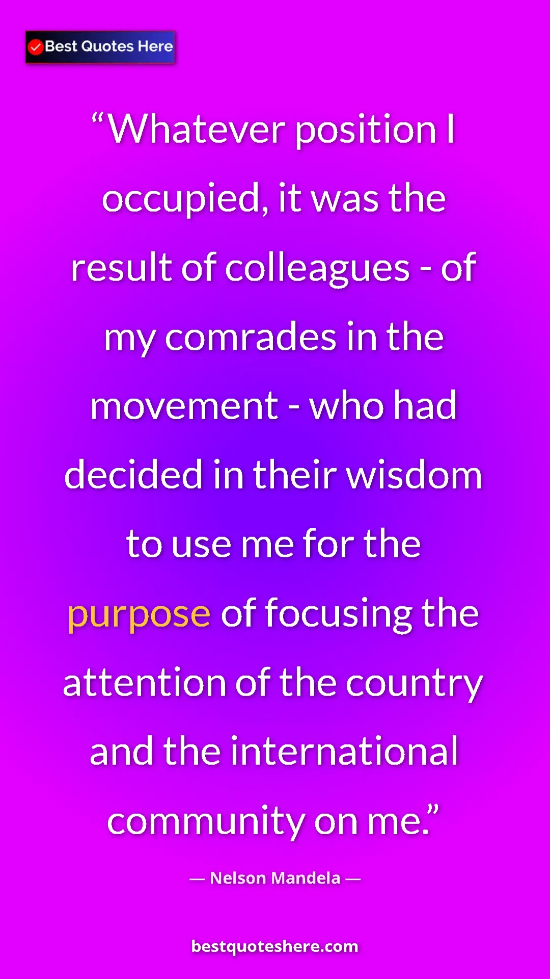 Pinterest quote poster by Nelson Mandela: "Whatever position I occupied, it was the result of..."