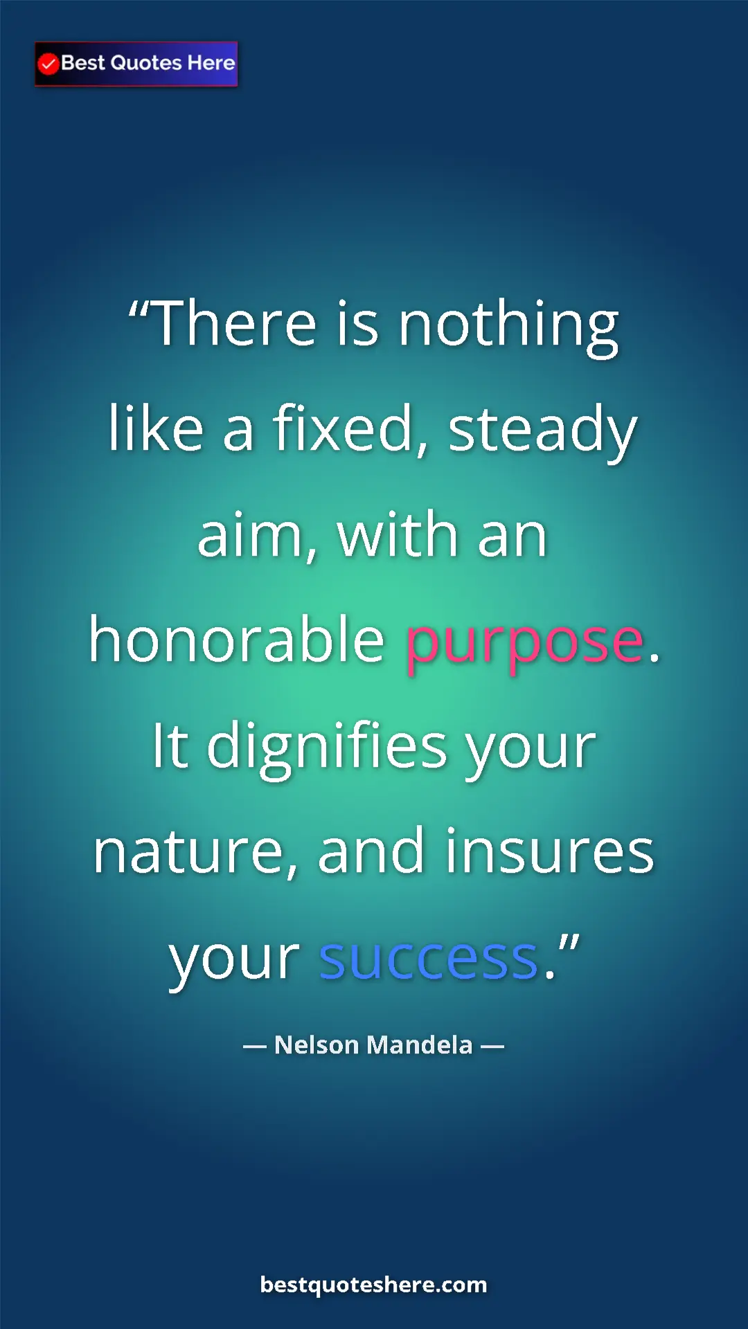 Pinterest quote poster by Nelson Mandela: "There is nothing like a fixed, steady aim, with an..."