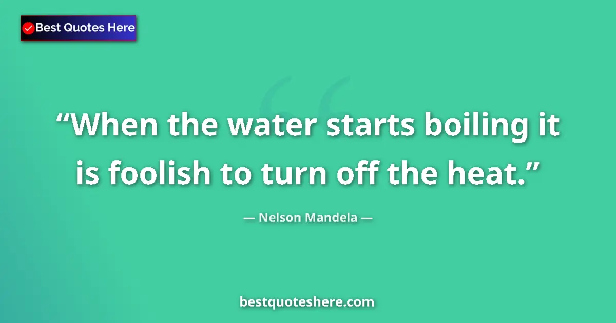 Quote by Nelson Mandela: When the water starts boiling it is foolish to turn off the heat....