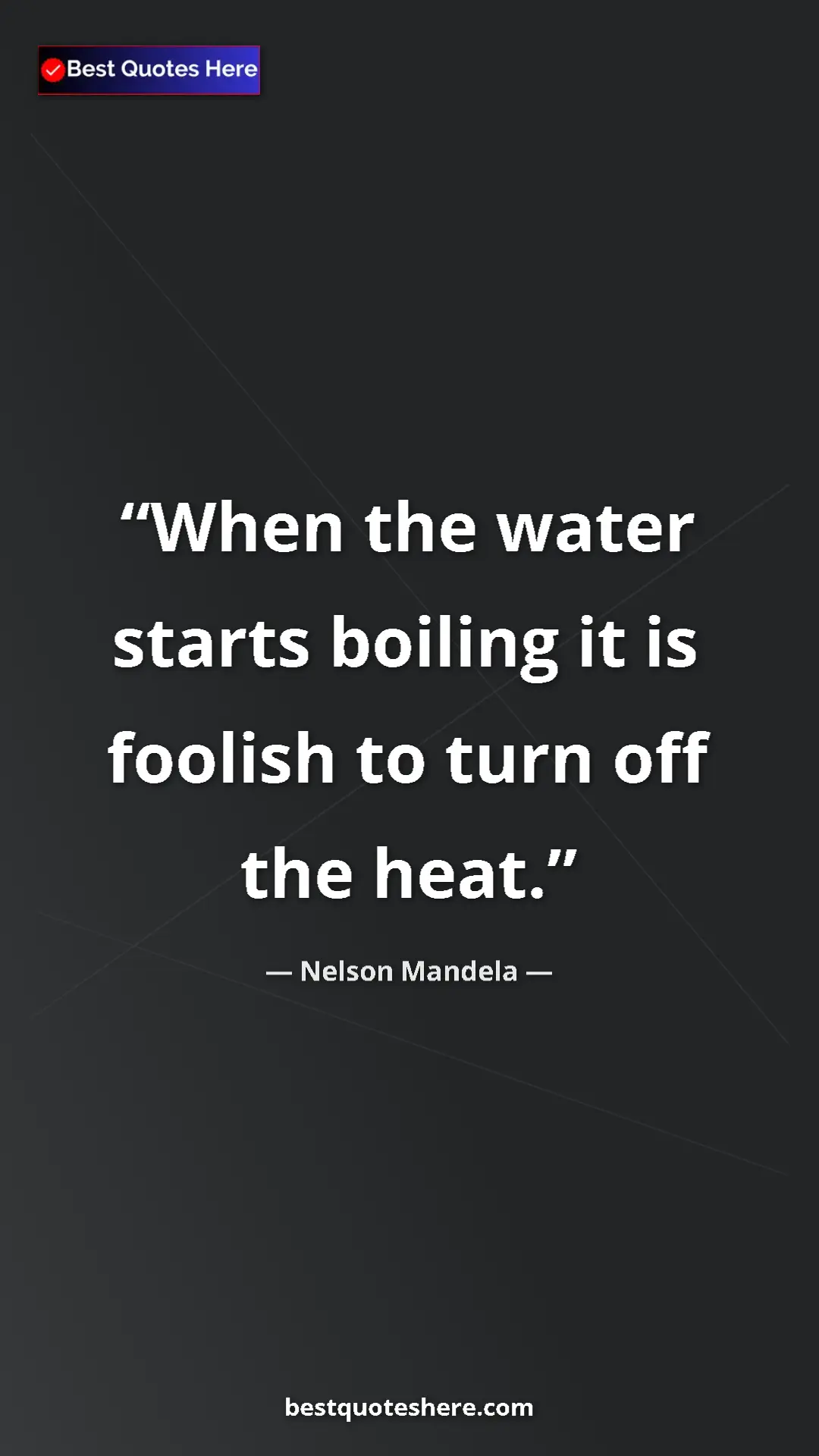 Pinterest quote poster by Nelson Mandela: "When the water starts boiling it is foolish to turn off the..."