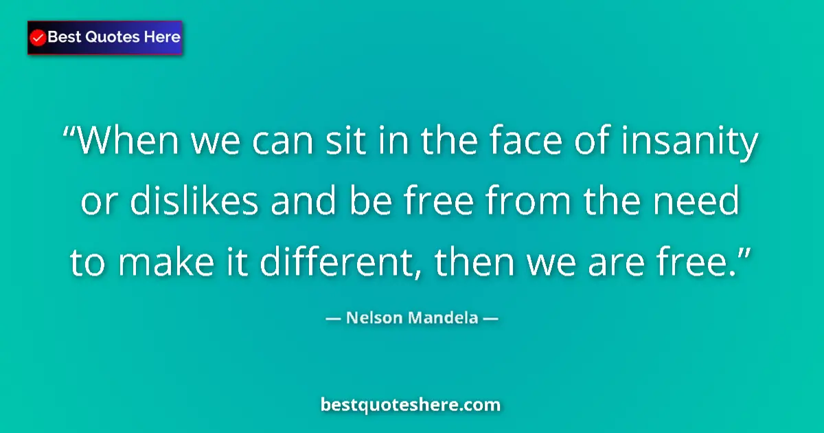 Quote by Nelson Mandela: When we can sit in the face of insanity or dislikes and be free from the need to make it different, ...