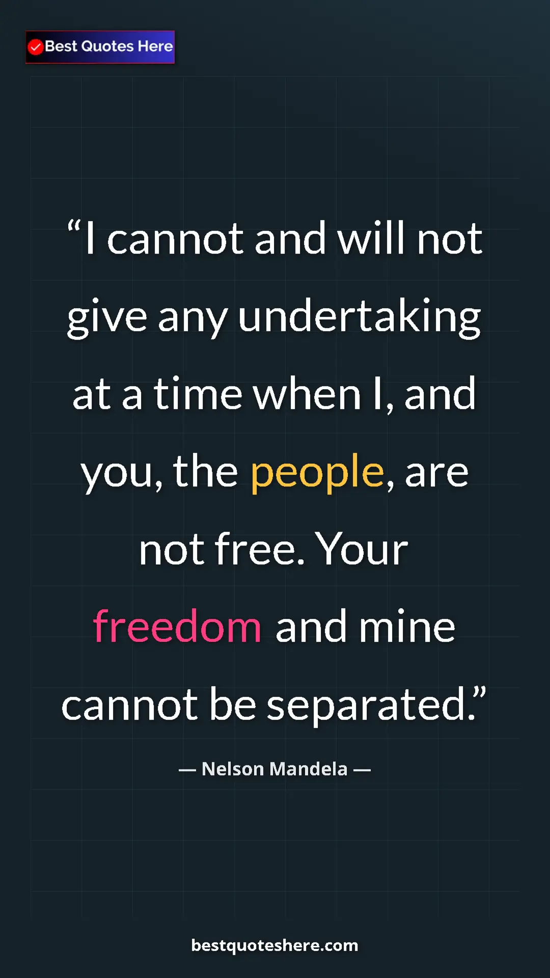 Pinterest quote poster by Nelson Mandela: "I cannot and will not give any undertaking at a time when..."