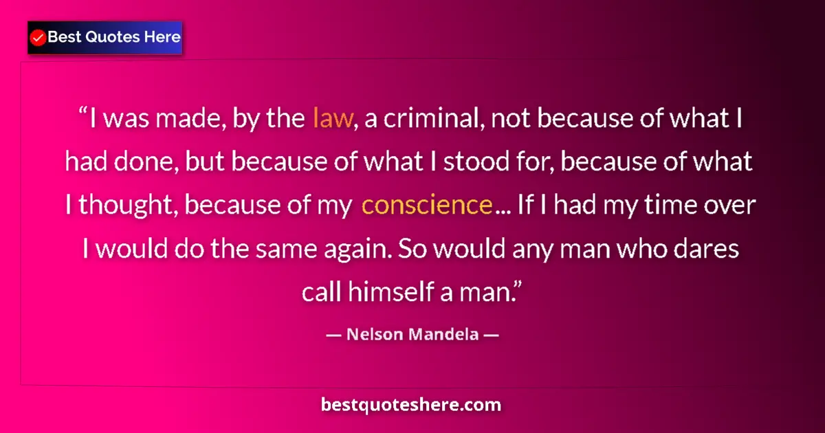 Quote by Nelson Mandela: I was made, by the law, a criminal, not because of what I had done, but because of what I stood for,...