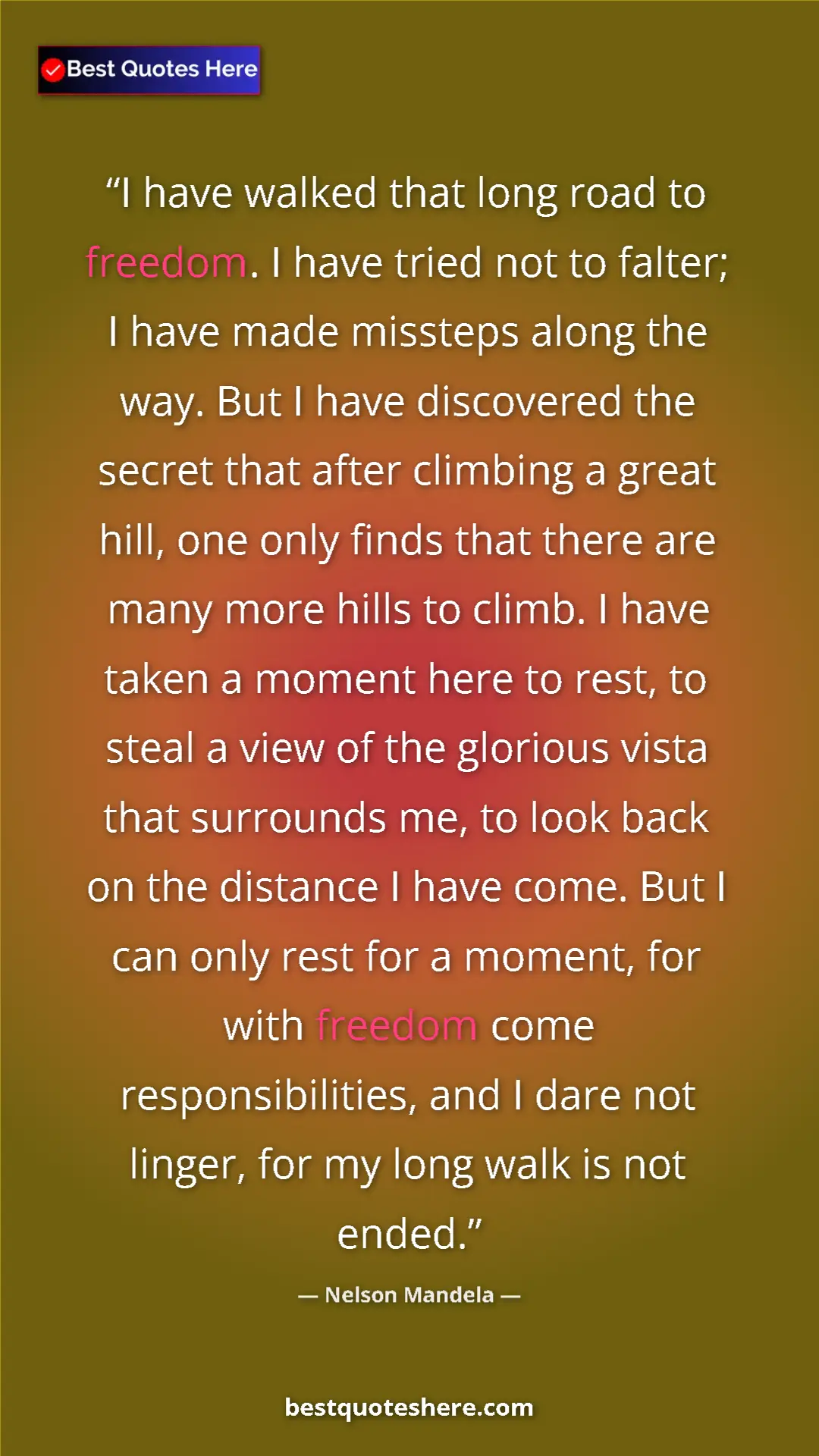 Pinterest quote poster by Nelson Mandela: "I have walked that long road to freedom. I have tried not..."