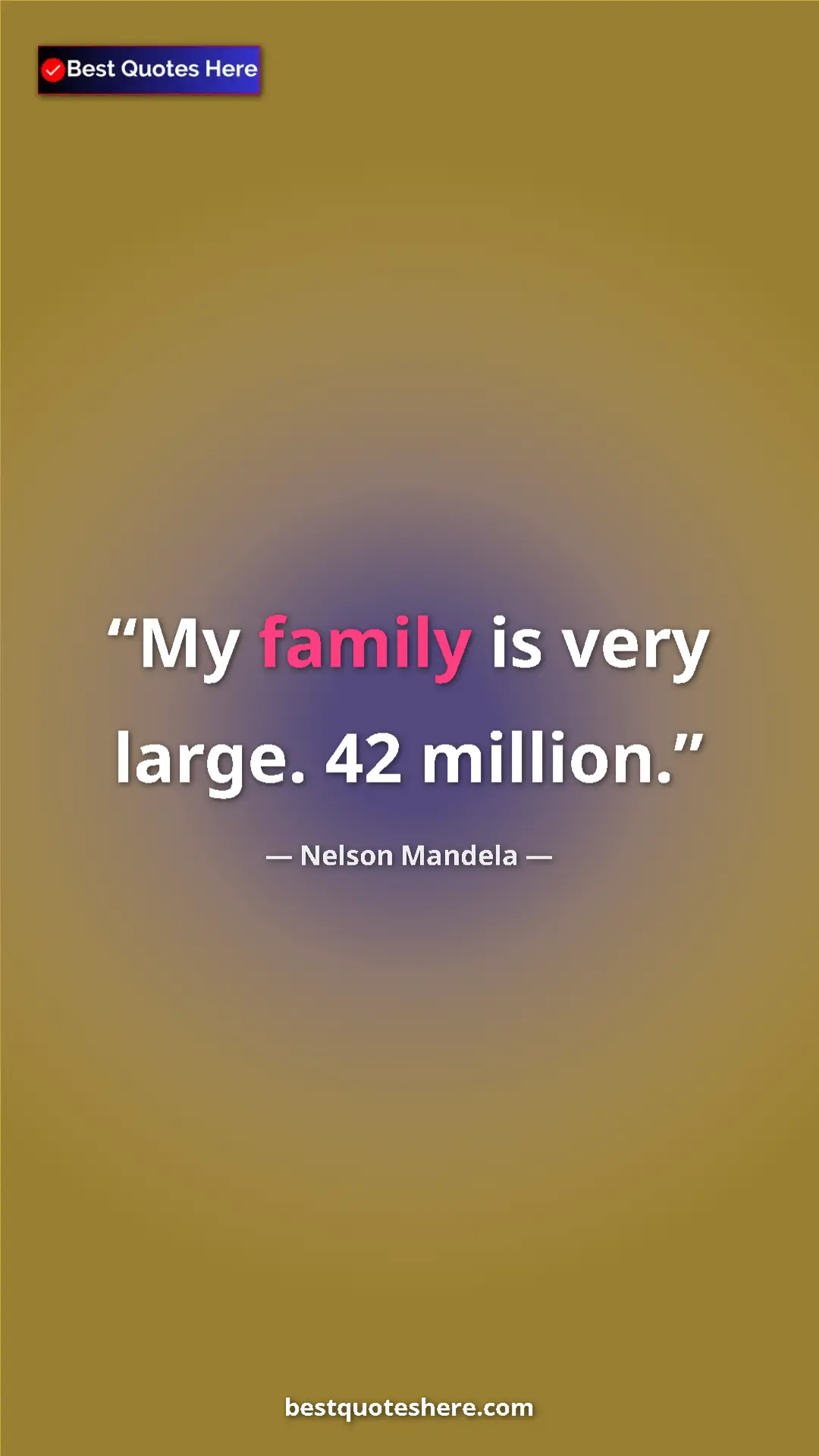Pinterest quote poster by Nelson Mandela: "My family is very large. 42 million."