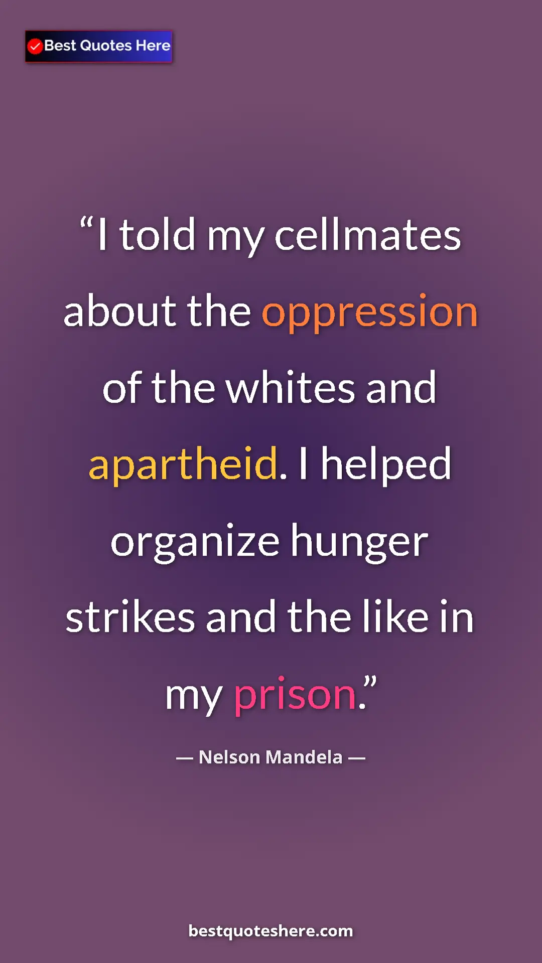 Pinterest quote poster by Nelson Mandela: "I told my cellmates about the oppression of the whites and..."