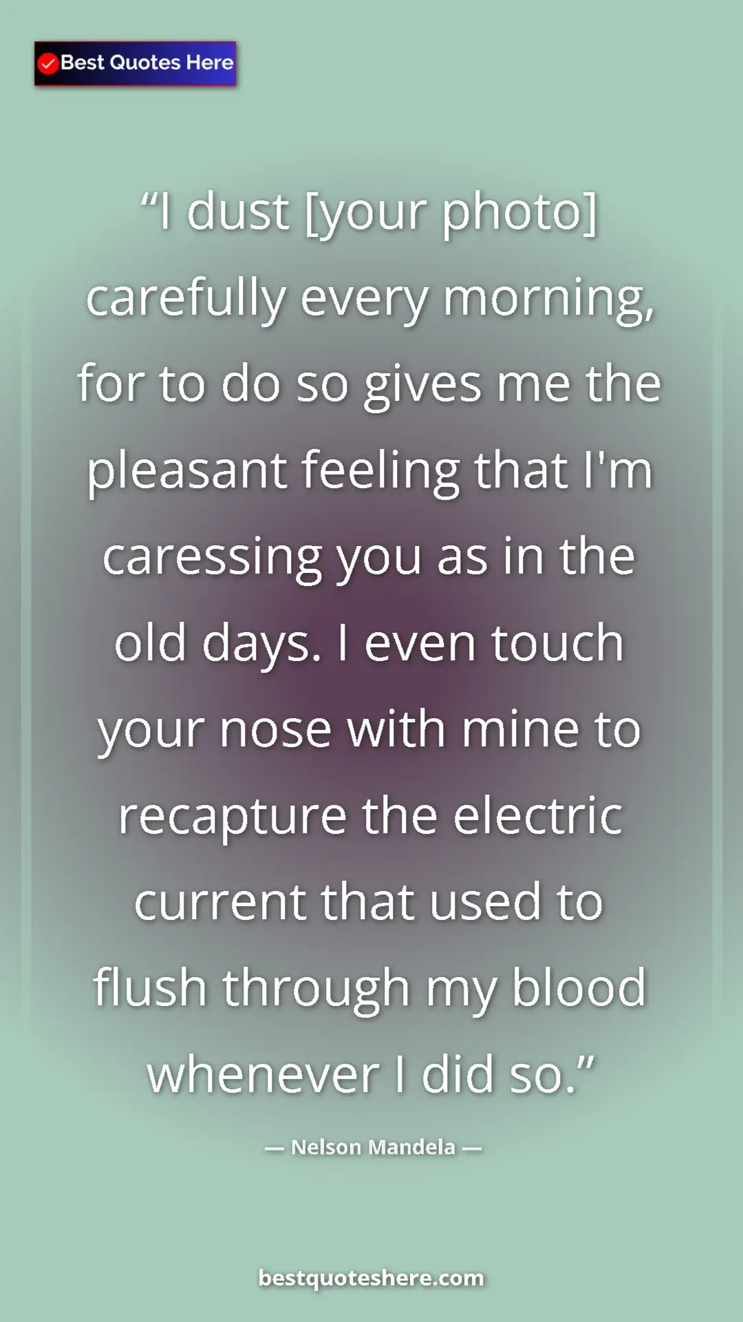 Pinterest quote poster by Nelson Mandela: "I dust [your photo] carefully every morning, for to do so..."