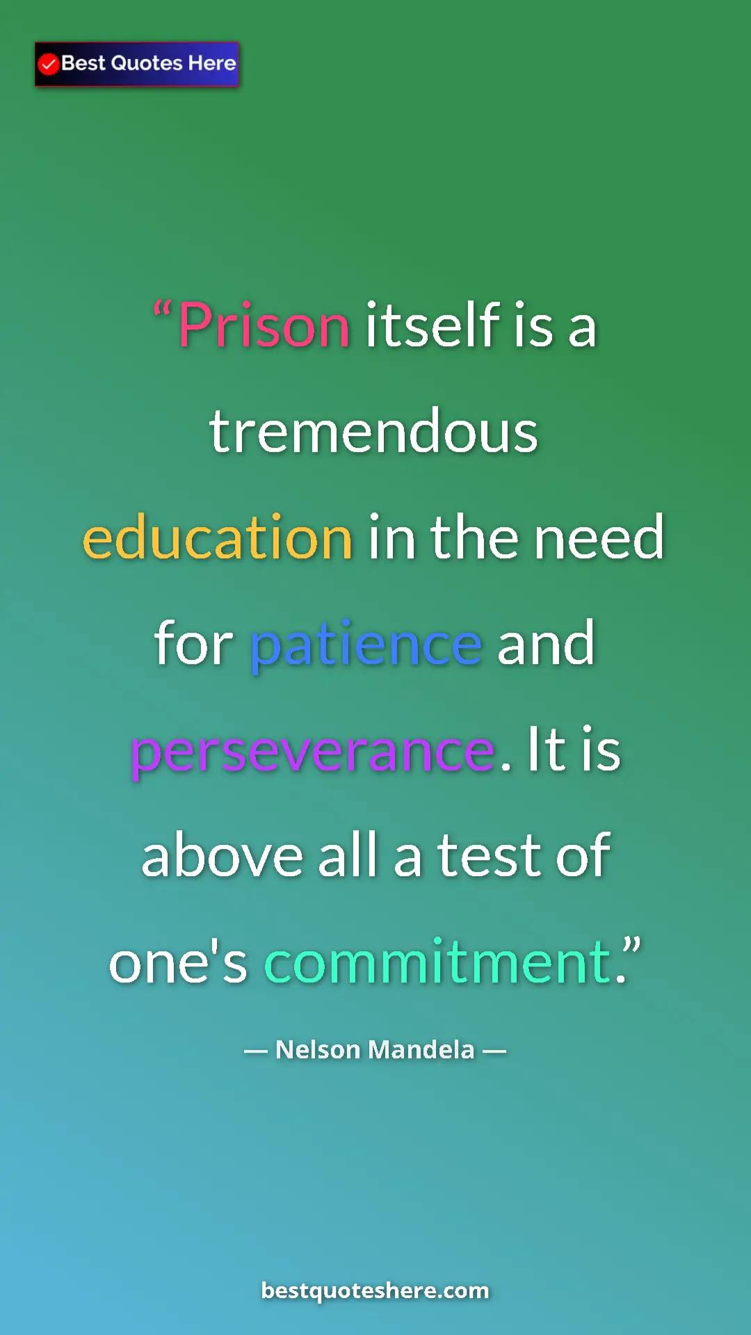 Pinterest quote poster by Nelson Mandela: "Prison itself is a tremendous education in the need for..."