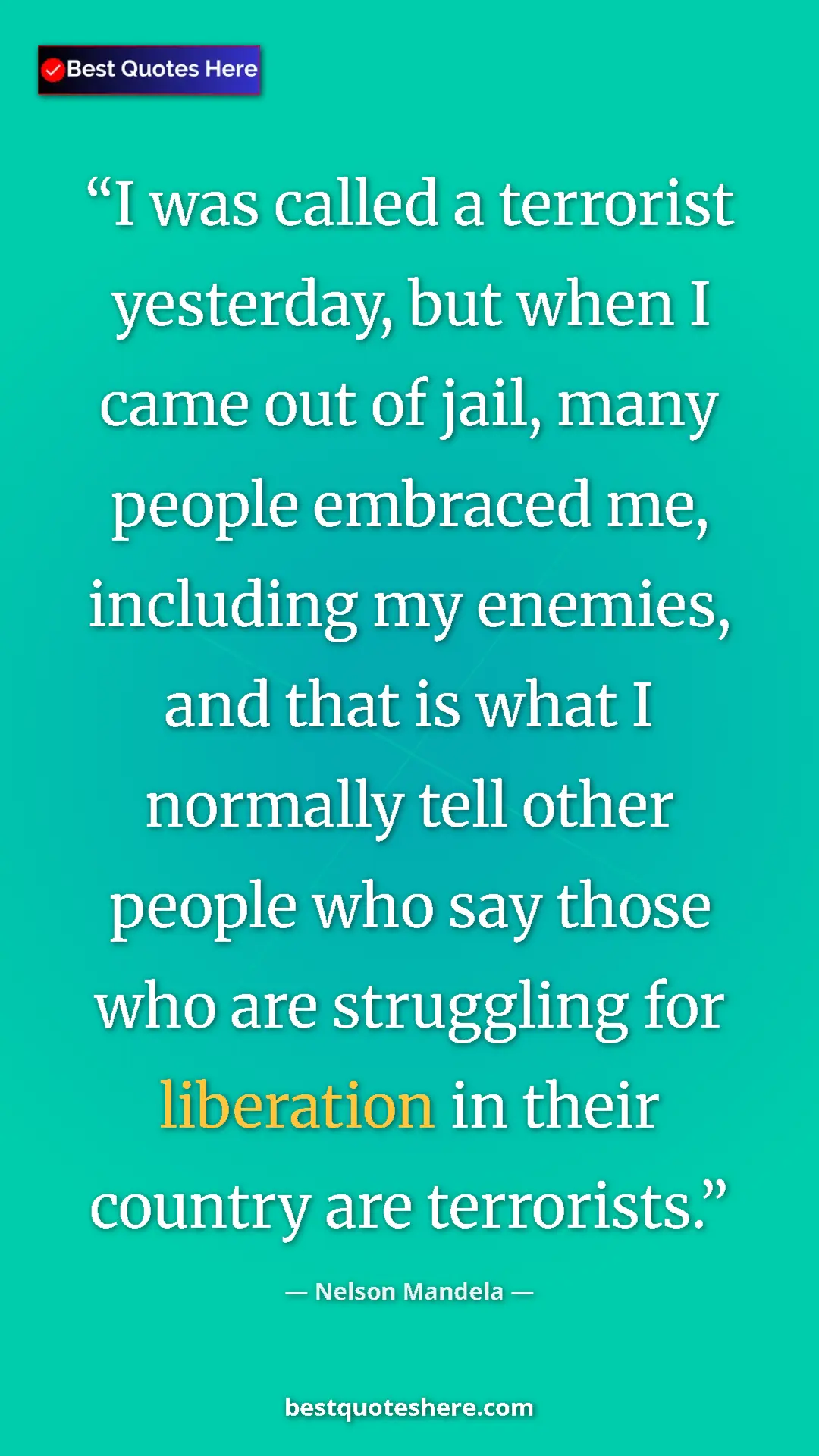 Pinterest quote poster by Nelson Mandela: "I was called a terrorist yesterday, but when I came out of..."
