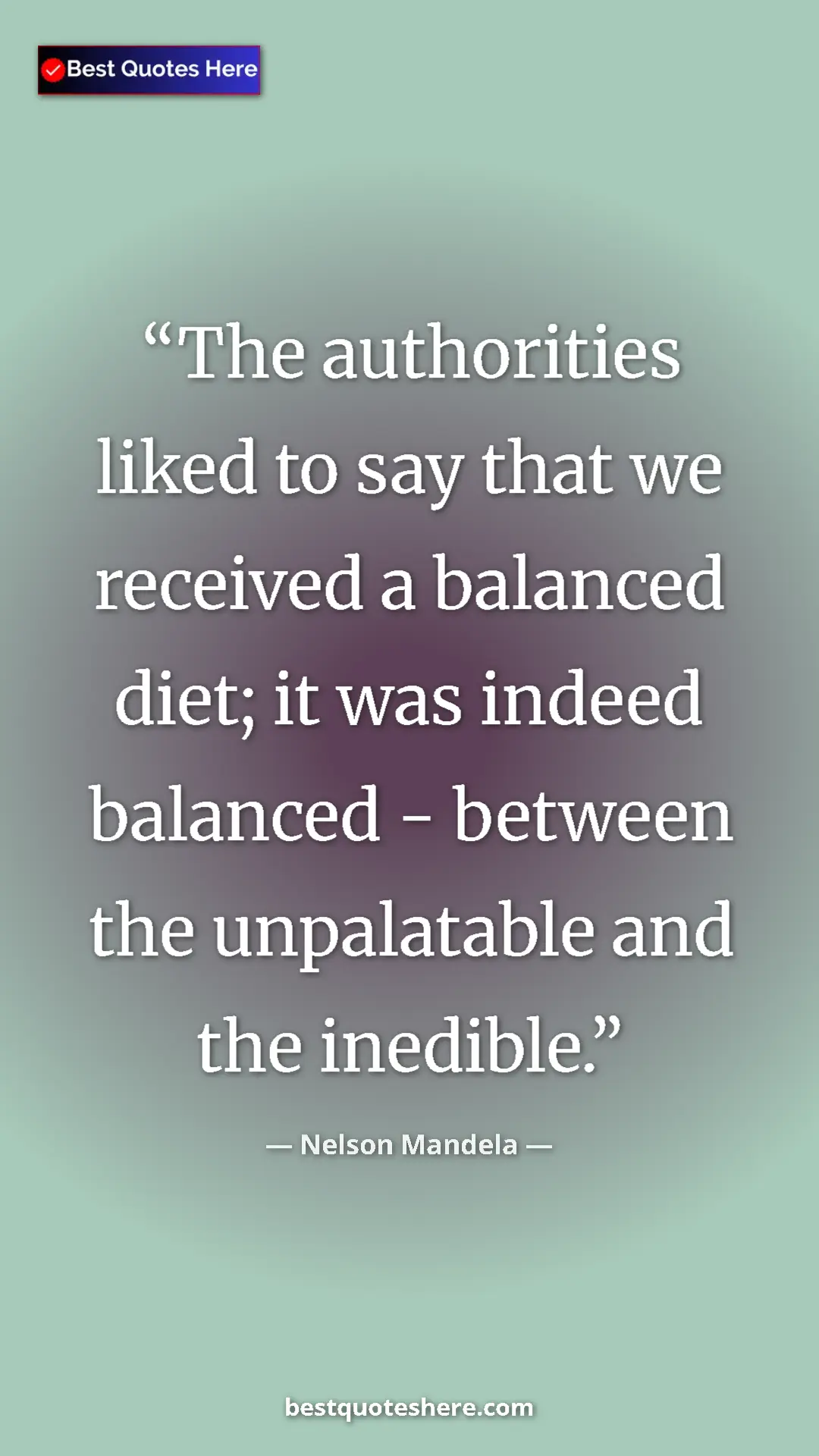 Pinterest quote poster by Nelson Mandela: "The authorities liked to say that we received a balanced..."
