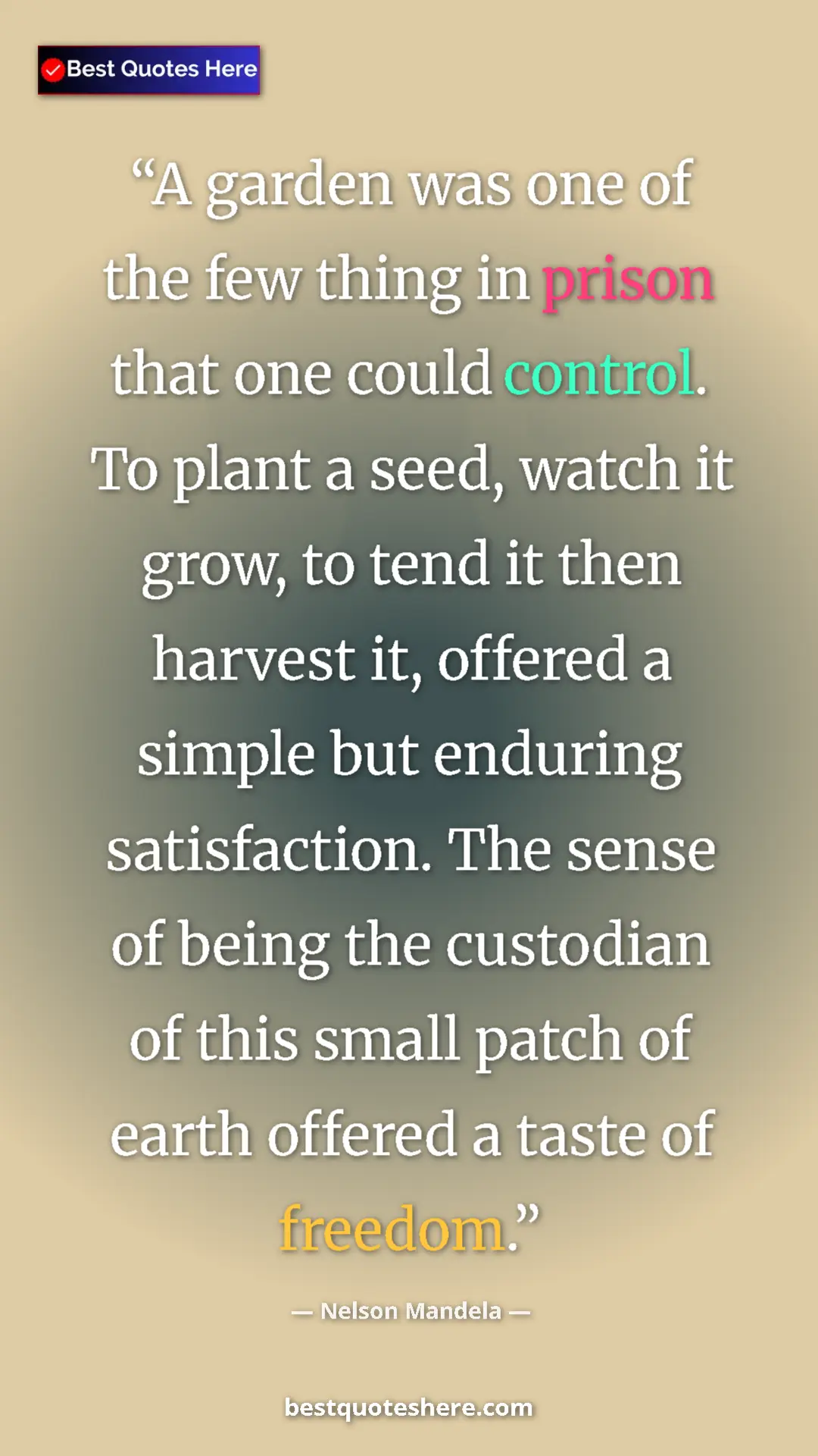 Nelson Mandela Quote Card: "A garden was one of the few thing in prison that one could..." Pinterest quote poster by Nelson Mandela: "A garden was one of the few thing in prison that one could..."