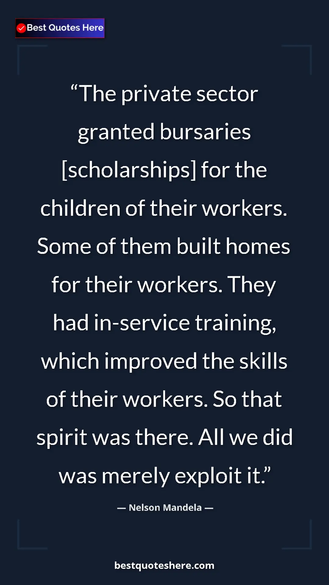 Pinterest quote poster by Nelson Mandela: "The private sector granted bursaries [scholarships] for the "