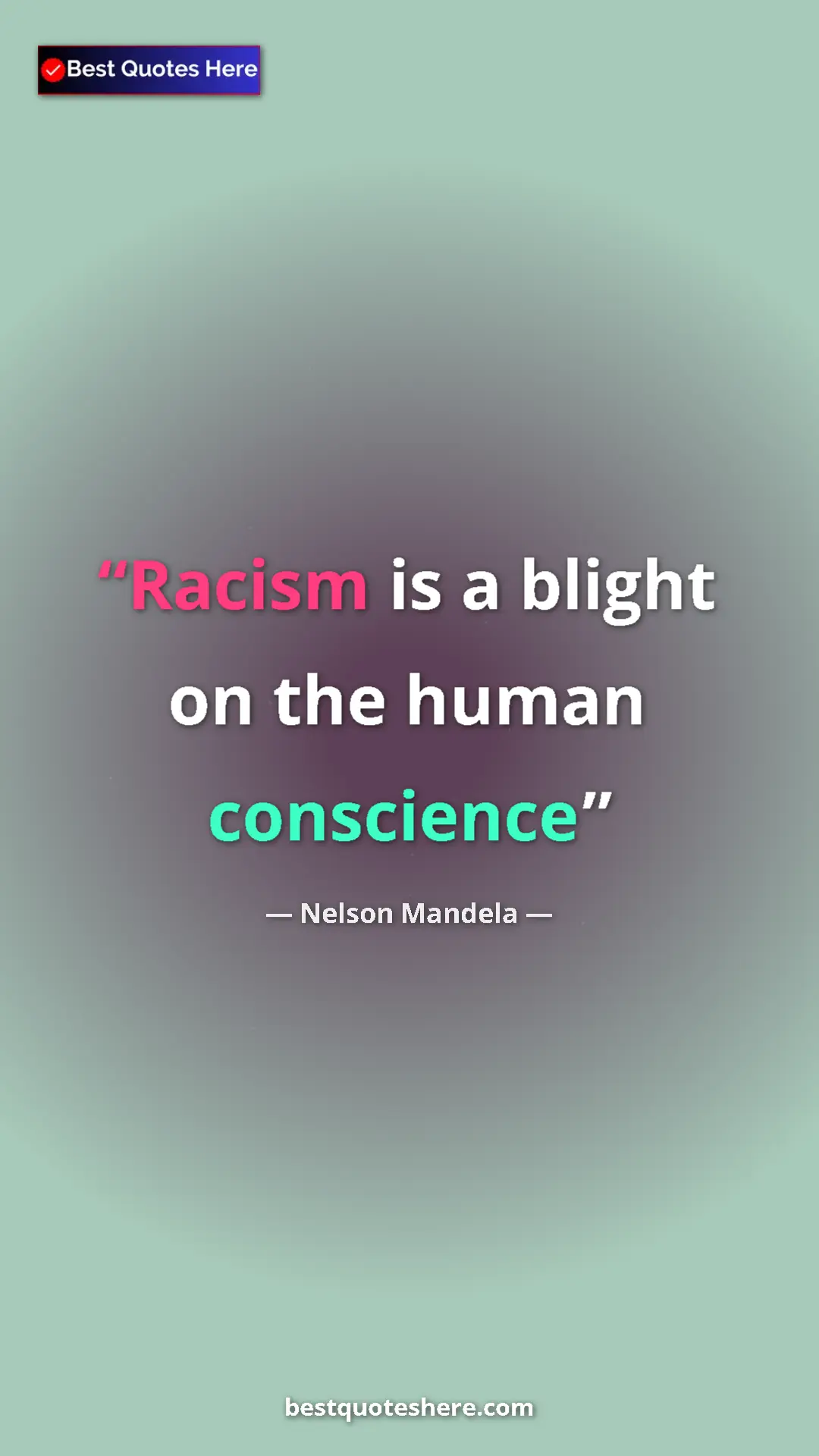 Pinterest quote poster by Nelson Mandela: "Racism is a blight on the human conscience"