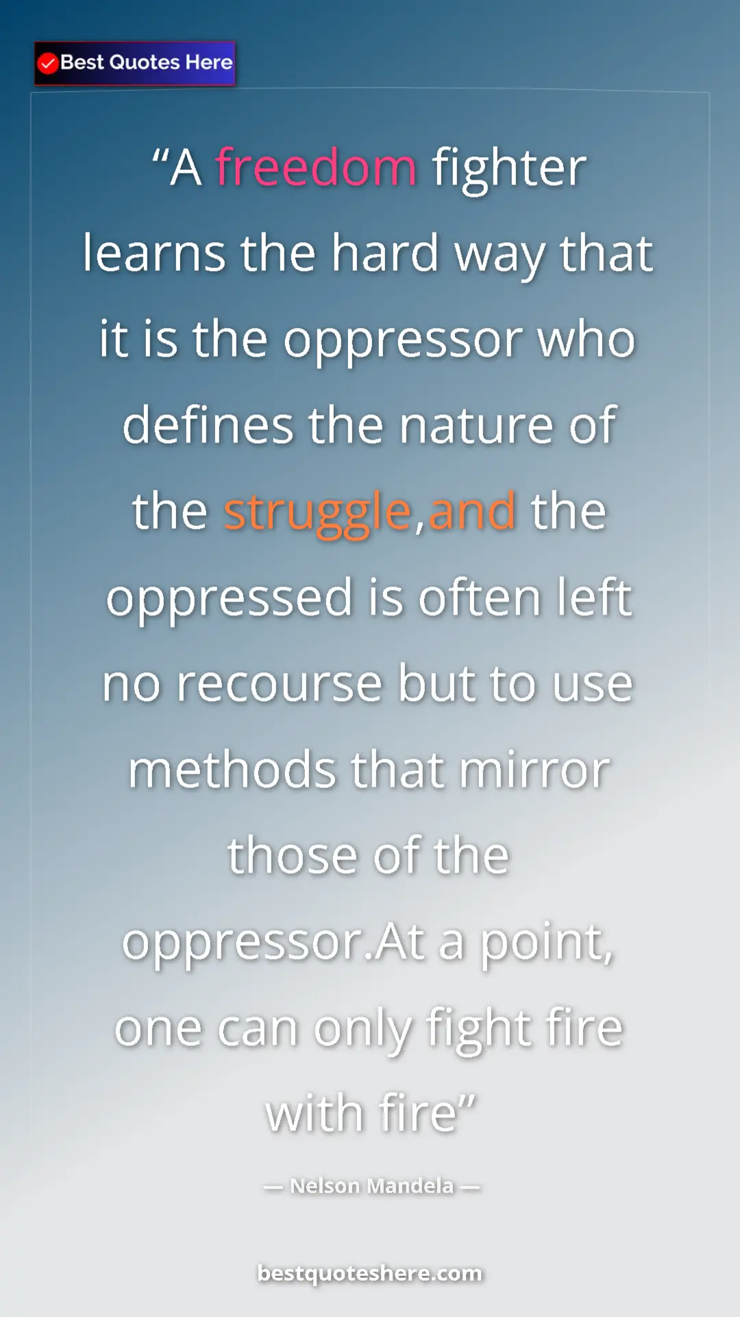 Pinterest quote poster by Nelson Mandela: "A freedom fighter learns the hard way that it is the..."