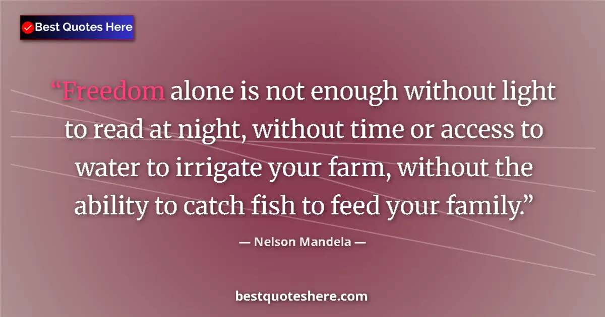 Quote by Nelson Mandela: Freedom alone is not enough without light to read at night, without time or access to water to irrig...