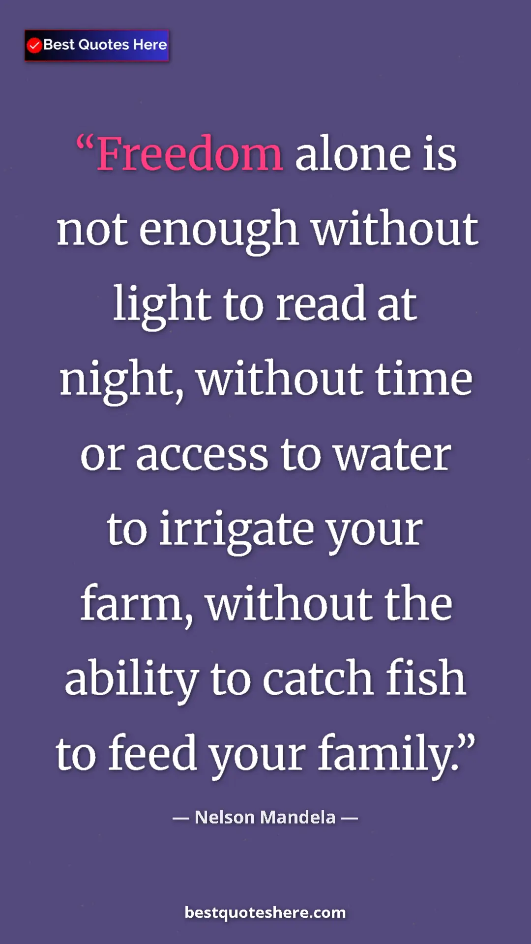 Pinterest quote poster by Nelson Mandela: "Freedom alone is not enough without light to read at night,..."